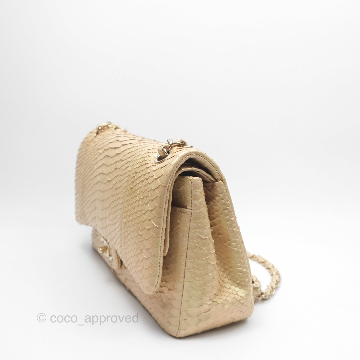 Chanel Jumbo Double Flap Iridescent Gold Python Gold Hardware⁣⁣