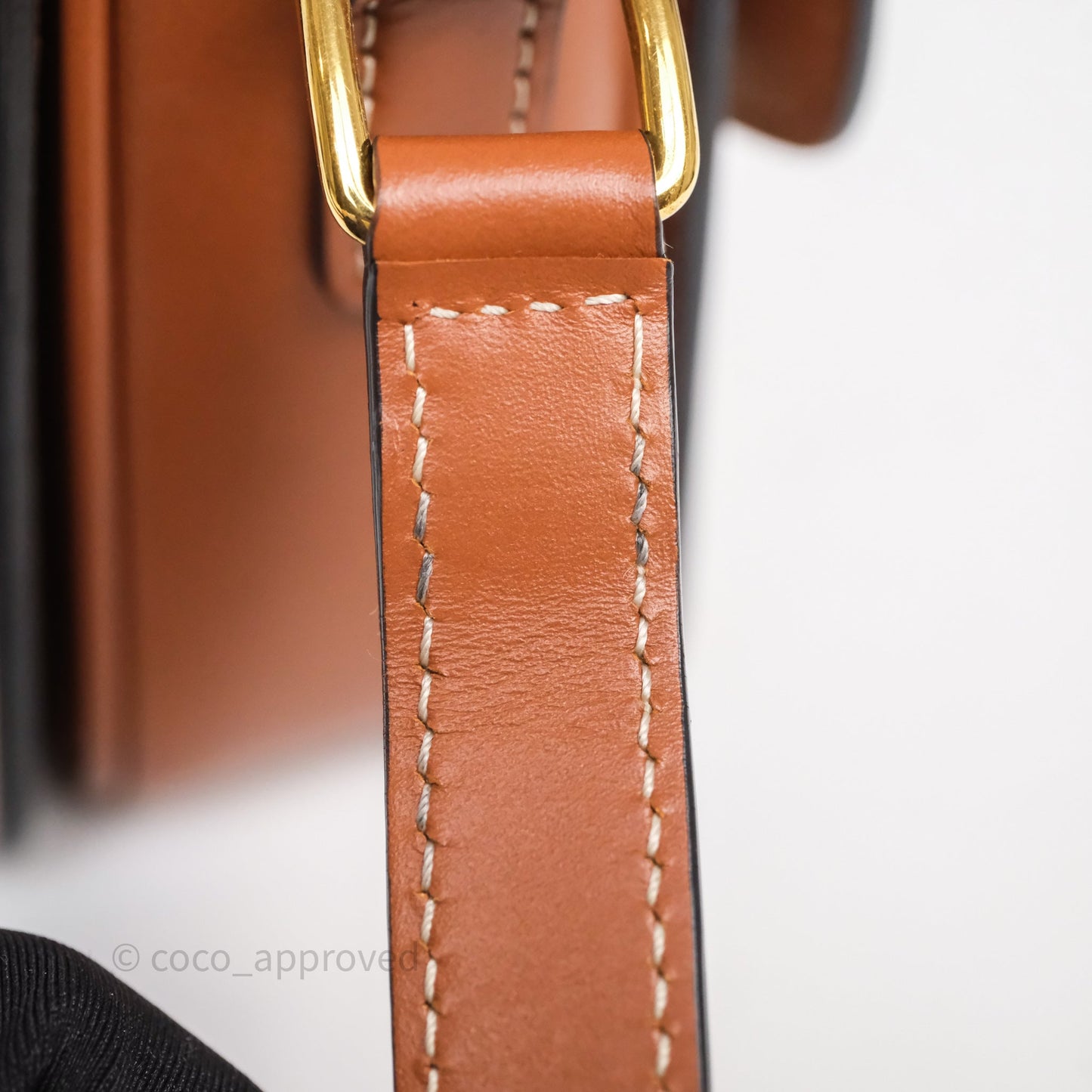 Celine Teen Triomphe Bag Triomphe Canvas Tan Calfskin