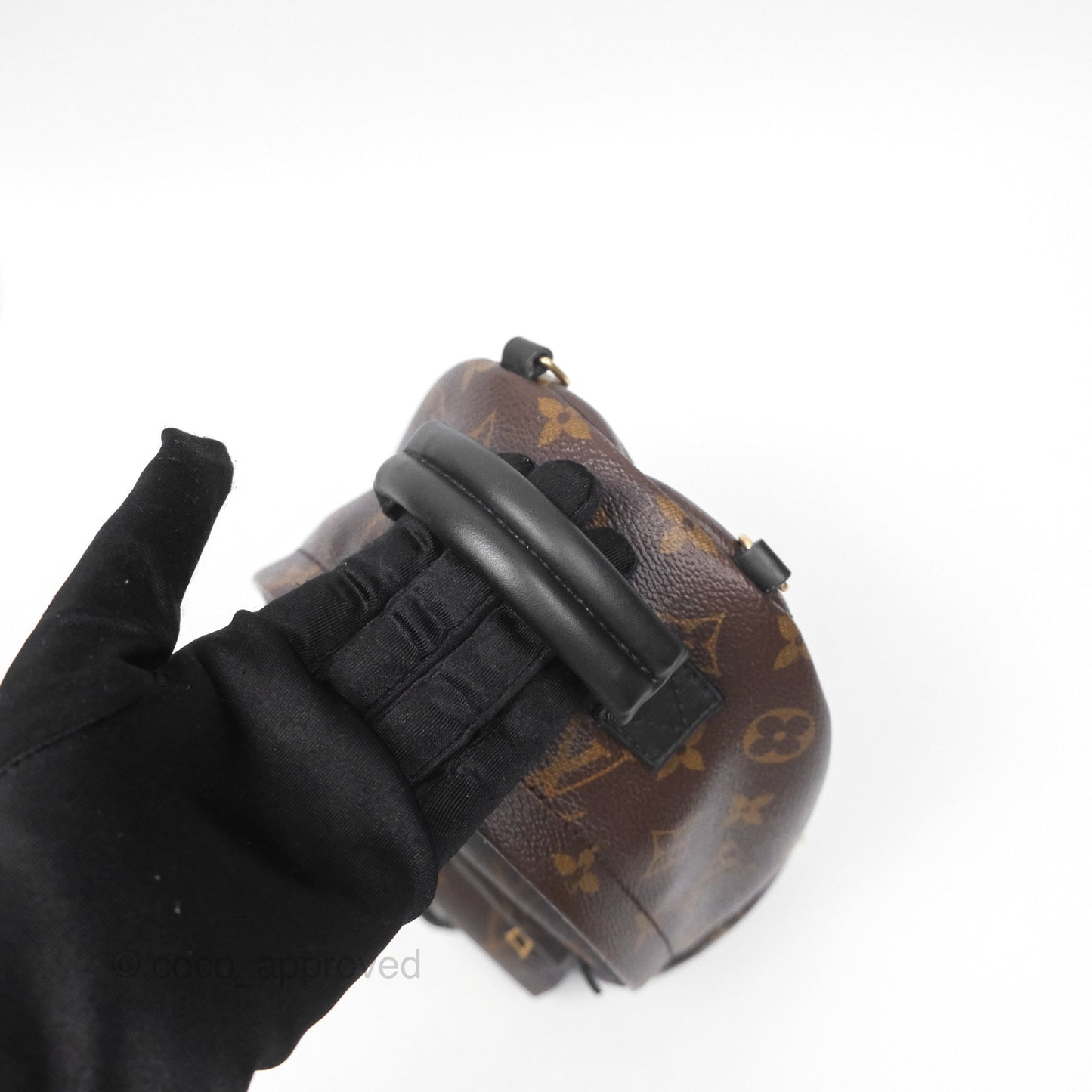 Louis Vuitton Monogram Mini Palm Springs Backpack⁣