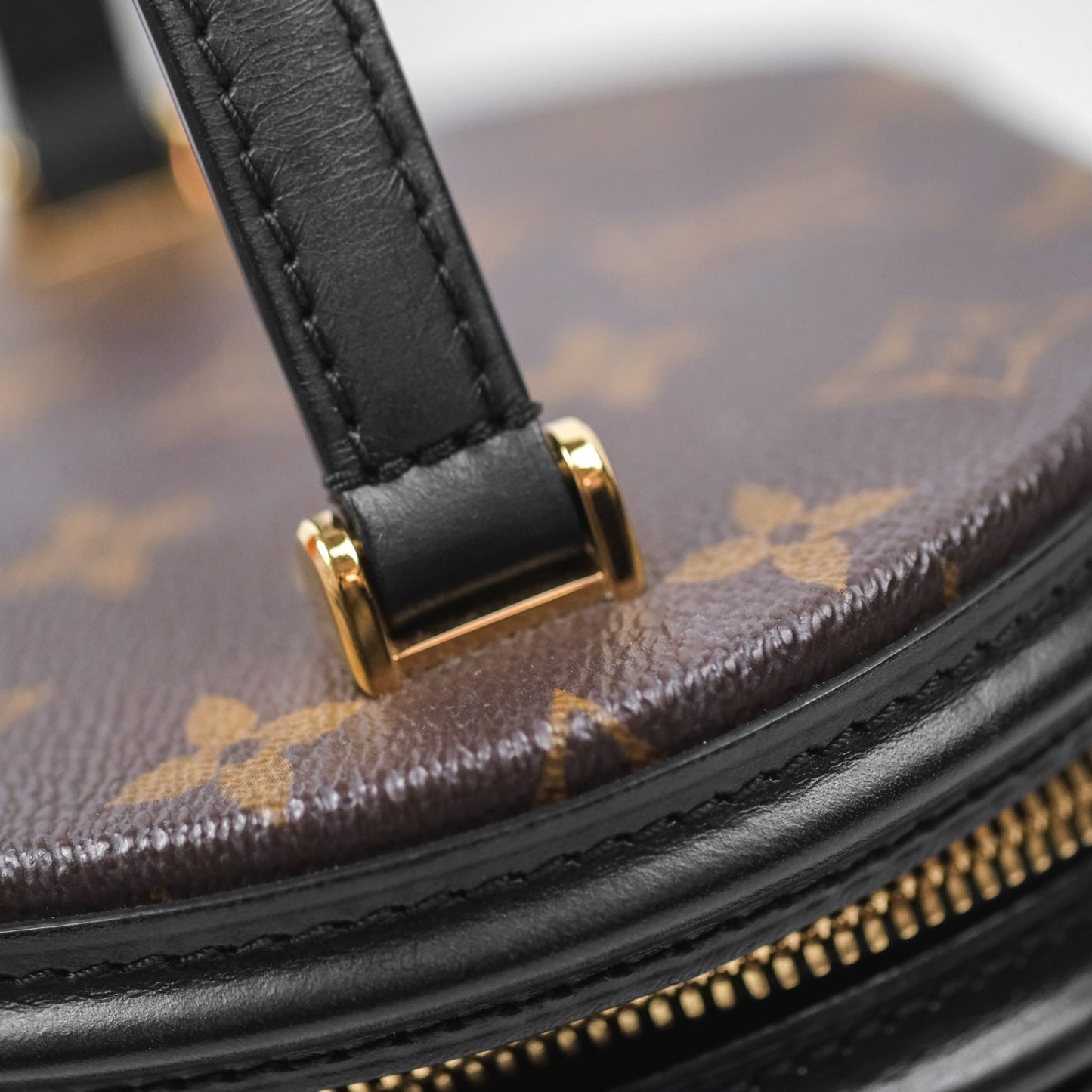 Louis Vuitton Monogram Canvas Reverse Cannes Bag