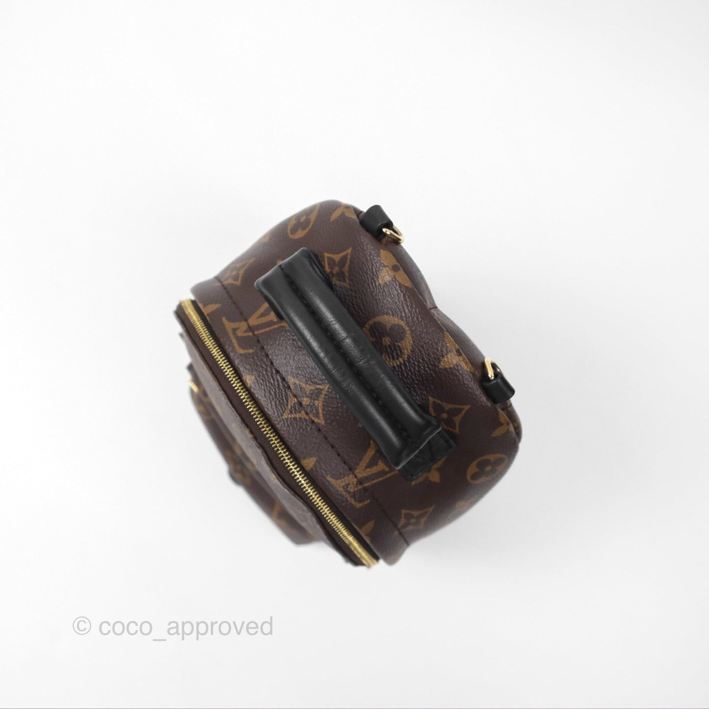 Louis Vuitton Monogram Mini Palm Springs Backpack⁣