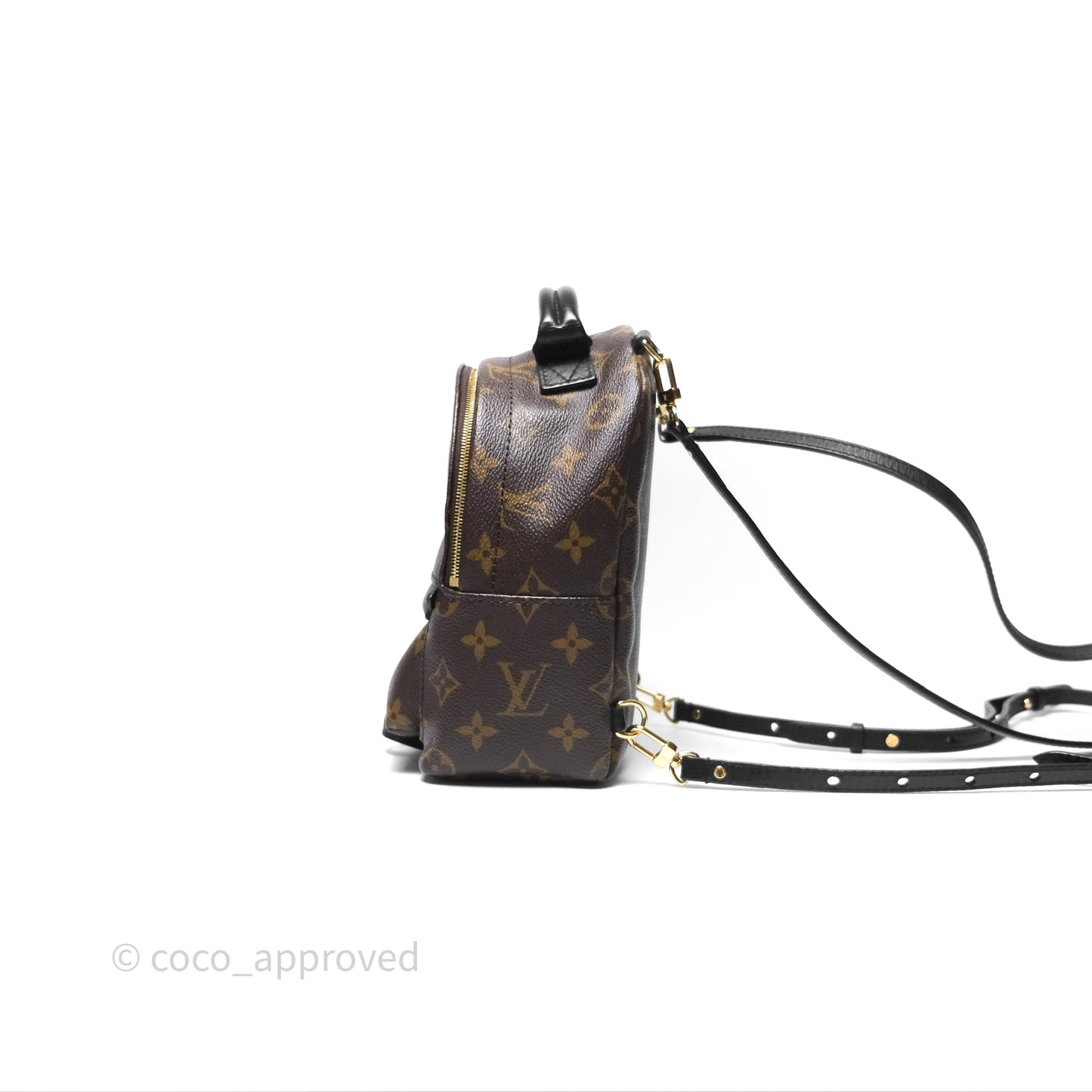 Louis Vuitton Monogram Mini Palm Springs Backpack⁣