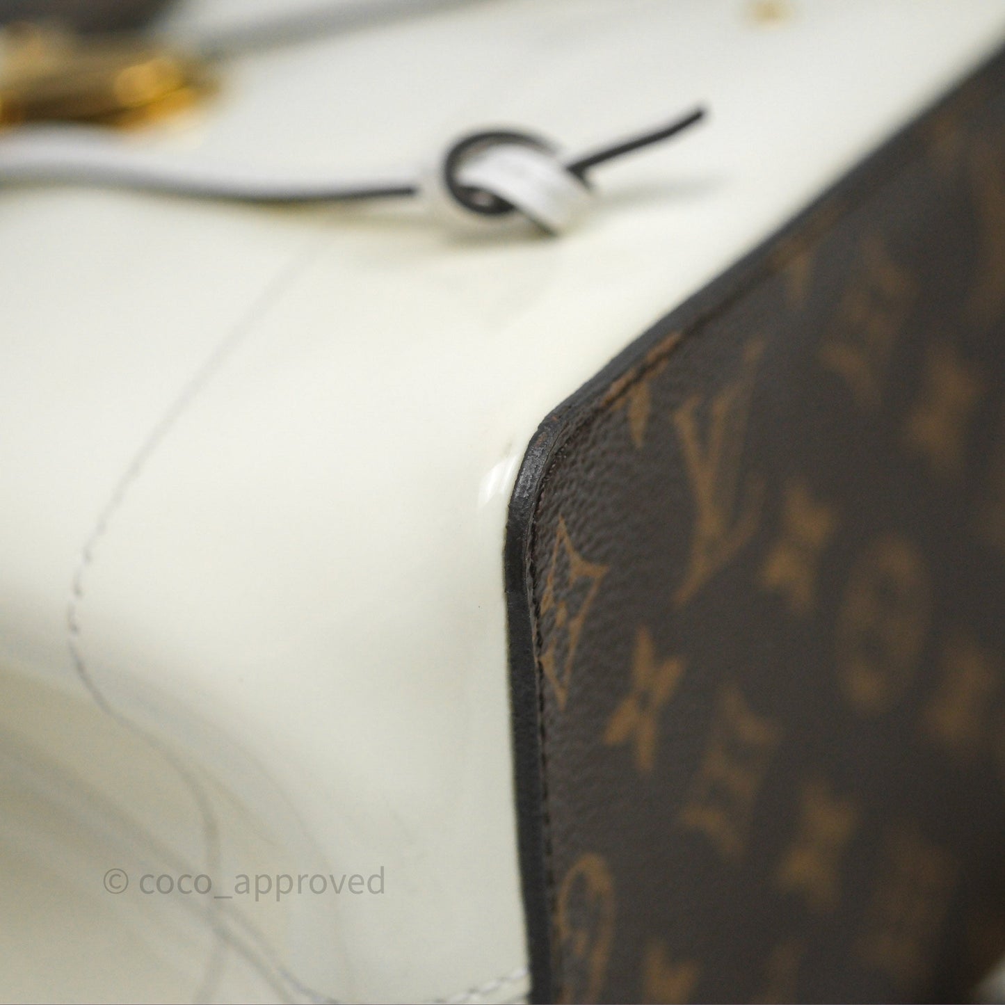Louis Vuitton Hot Springs Backpack Monogram Patent Snow