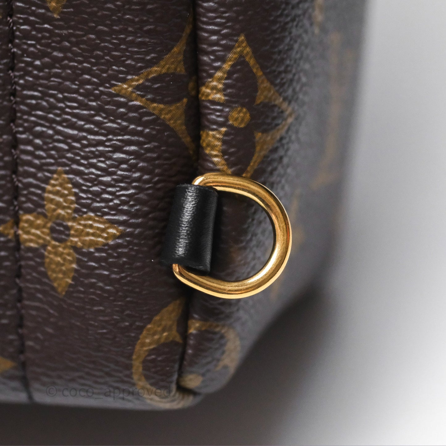Louis Vuitton Mini Palm Springs Backpack⁣ Monogram