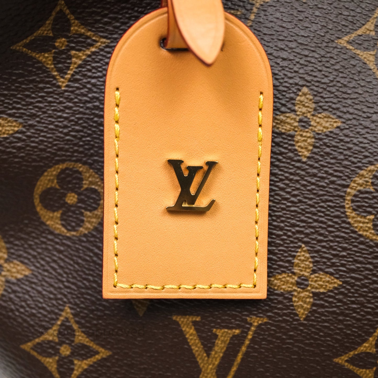 Louis Vuitton Carry All PM Shoulder Bag Monogram Canvas