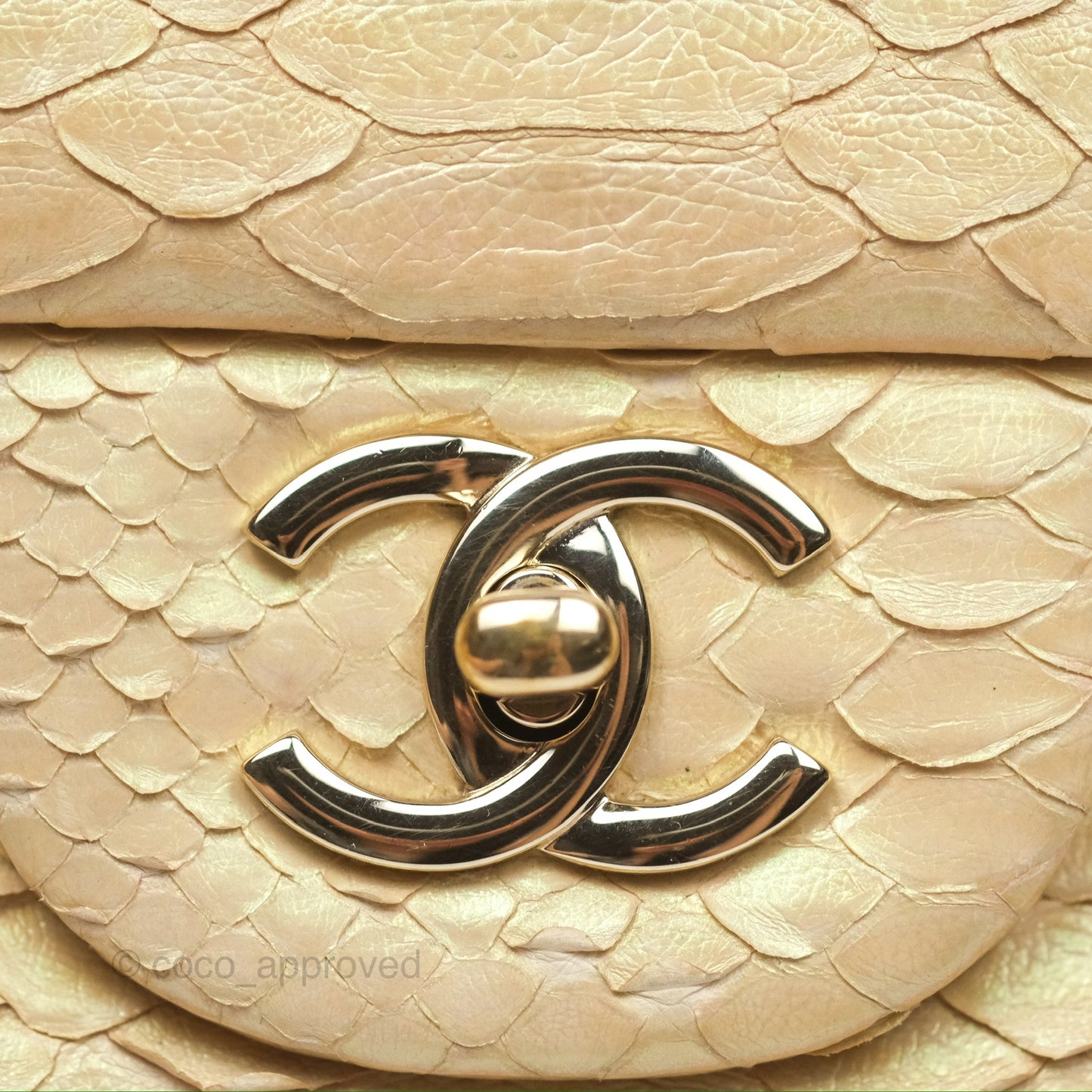 Chanel Jumbo Double Flap Iridescent Gold Python Gold Hardware⁣⁣