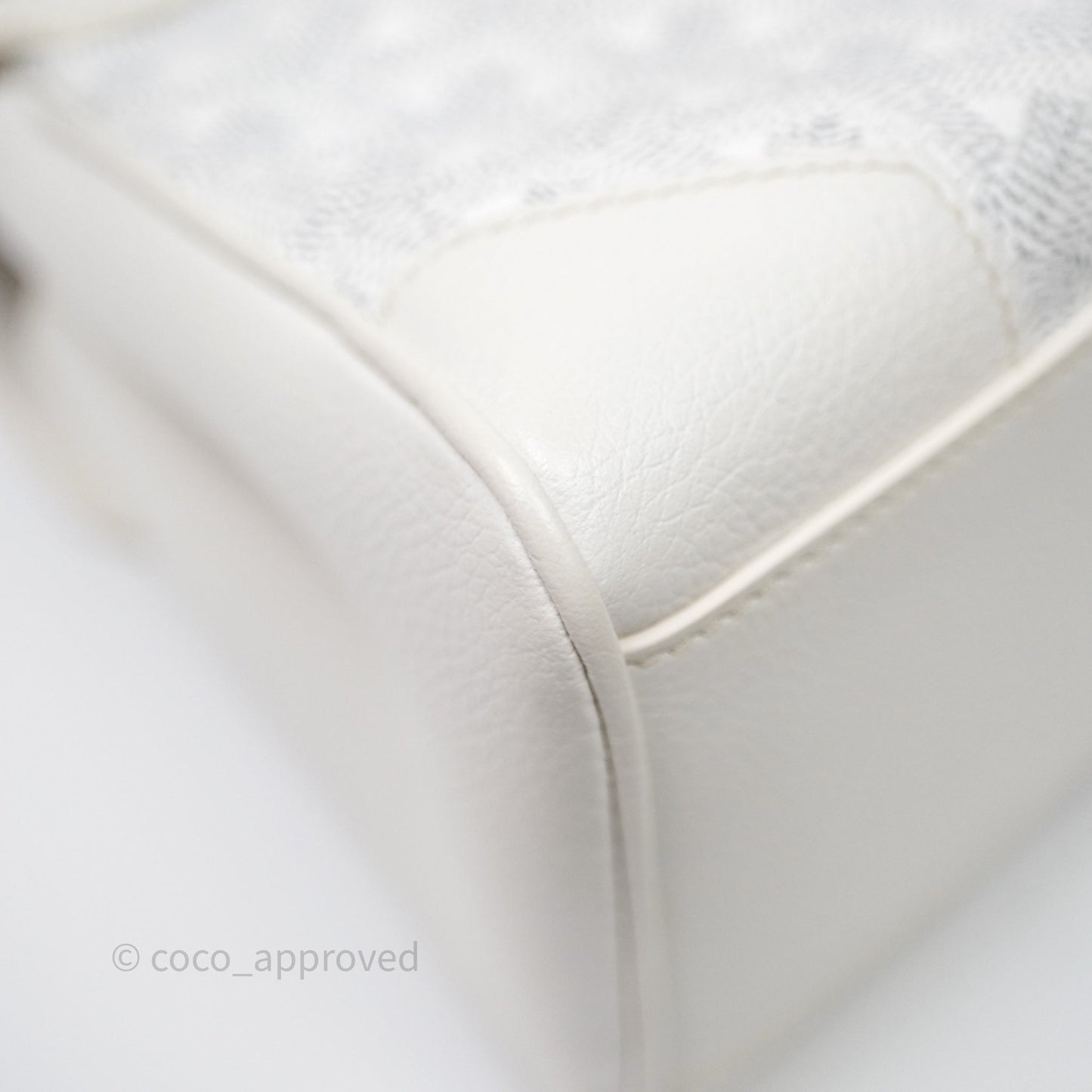 Goyard Saïgon Mini Bag Chevroches Calfskin White Silver Hardware