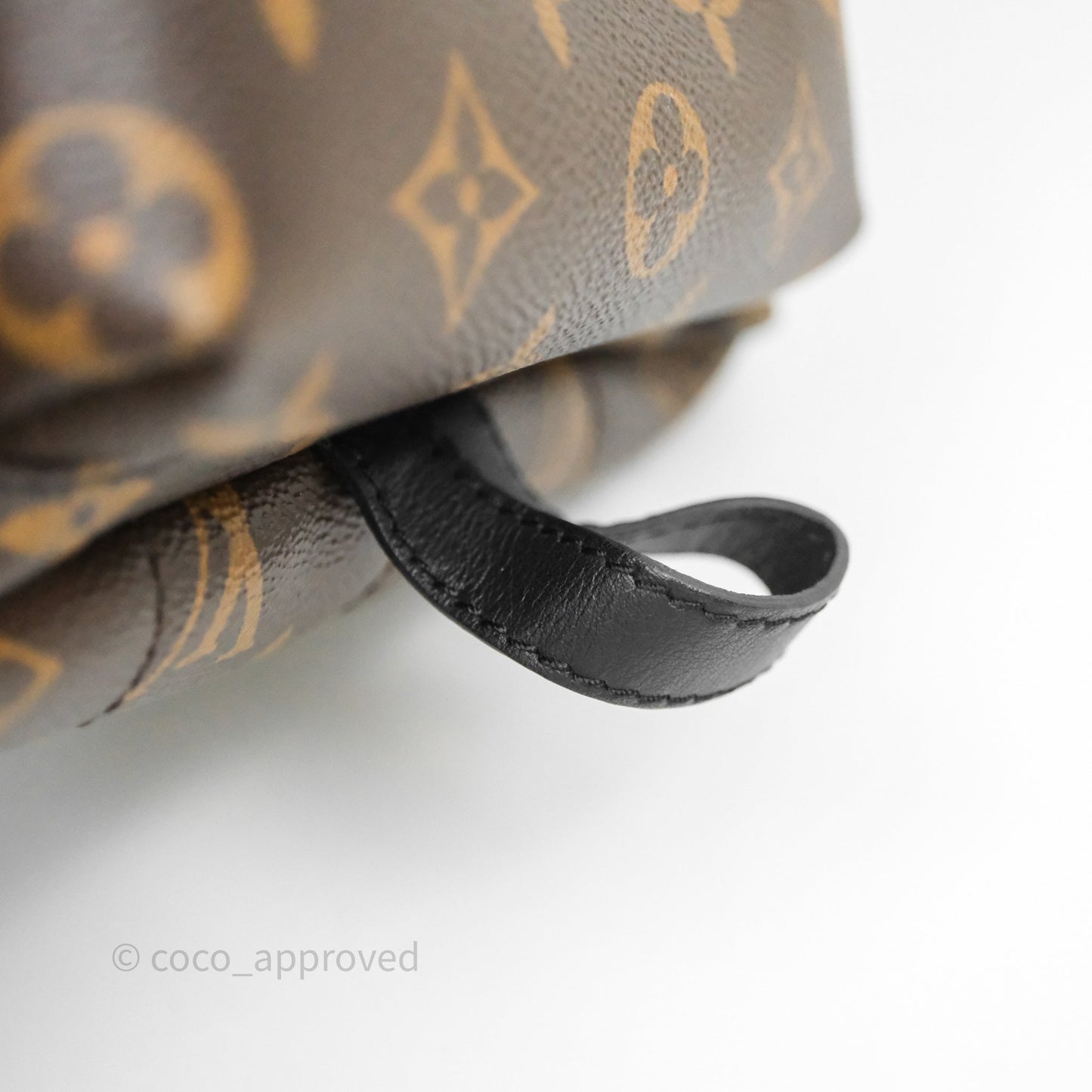 Louis Vuitton Palm Springs Backpack⁣ Monogram PM