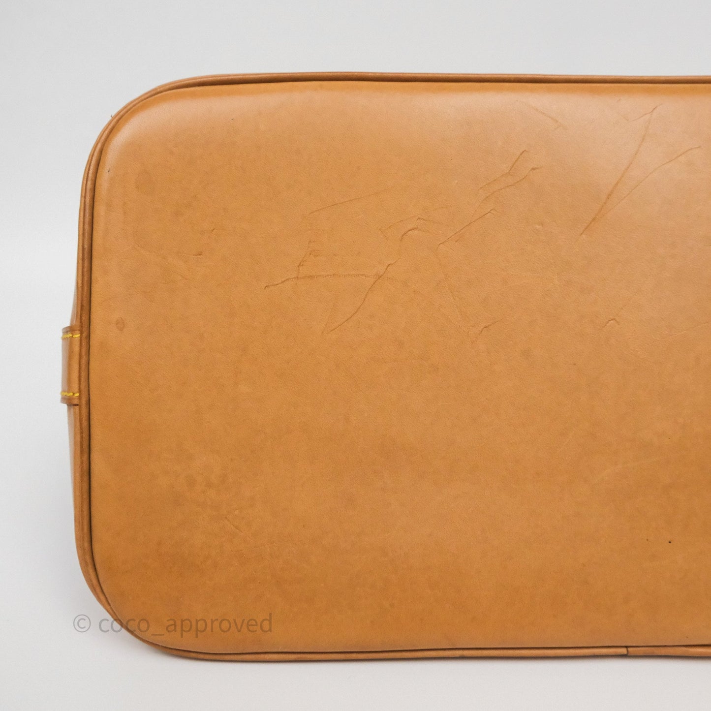 Louis Vuitton Alma PM Monogram