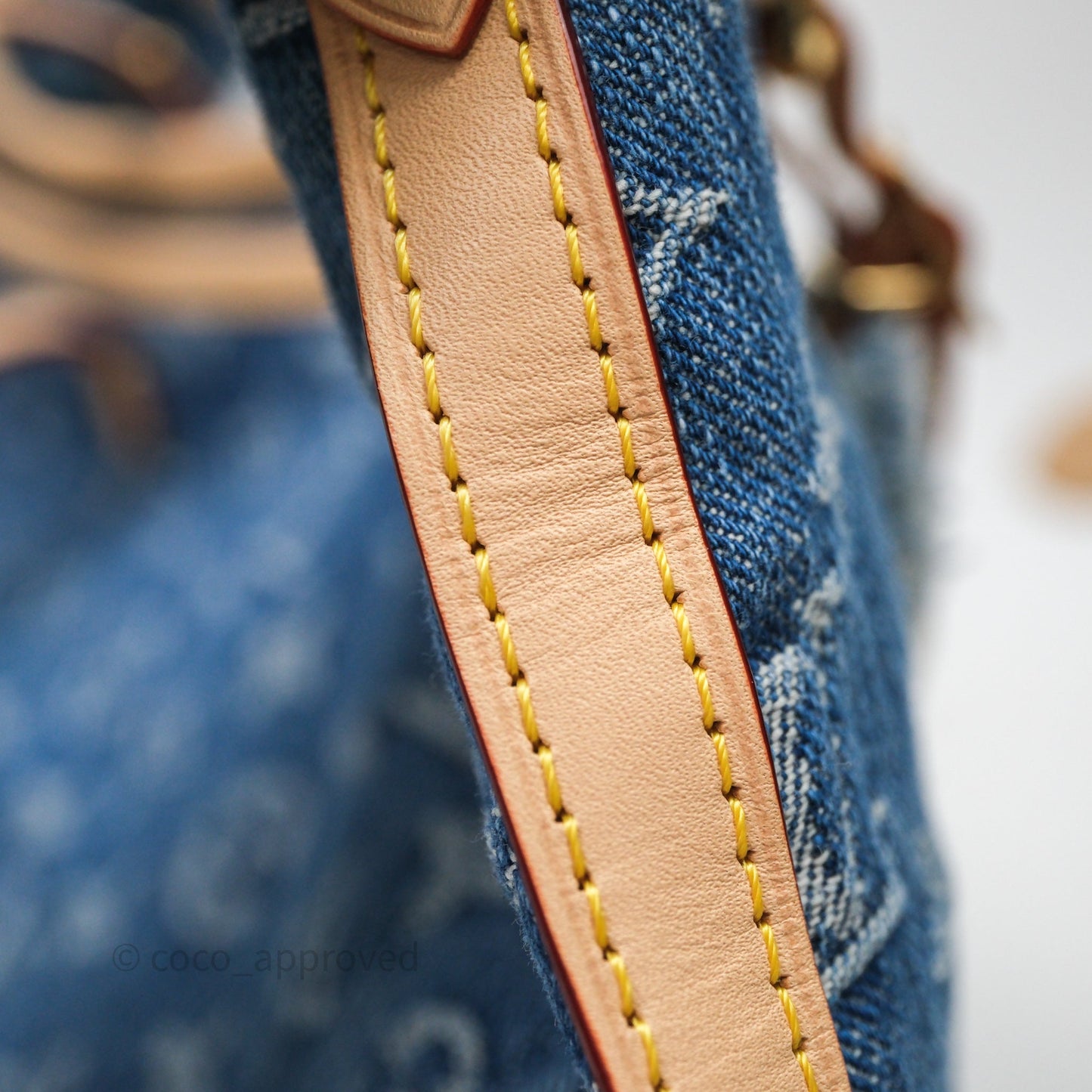 Louis Vuitton CarryAll MM Denim Blue Monogram