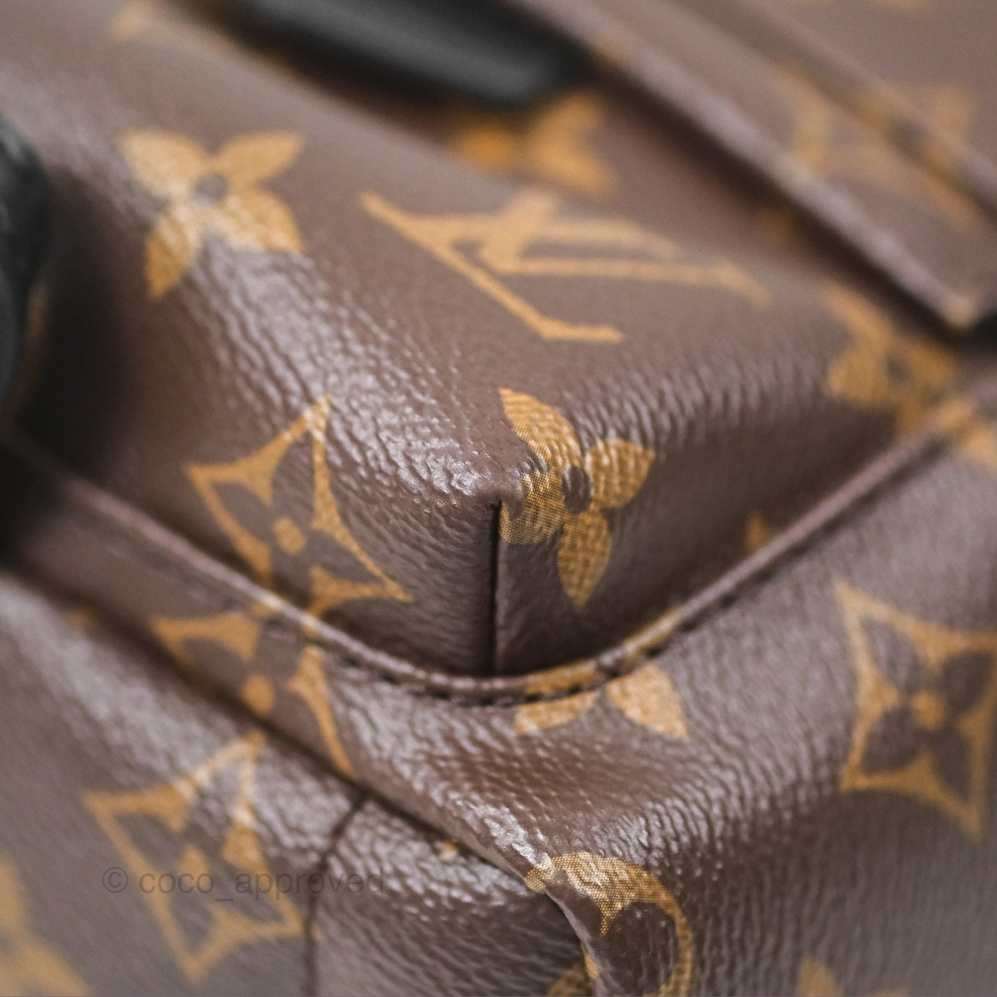 Louis Vuitton Monogram Mini Palm Springs Backpack⁣