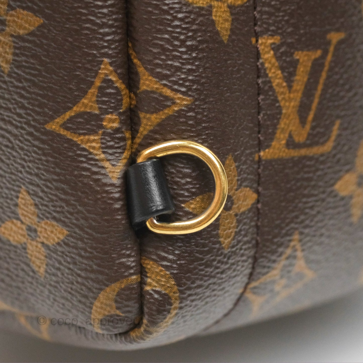 Louis Vuitton Mini Palm Springs Backpack⁣ Monogram Canvas