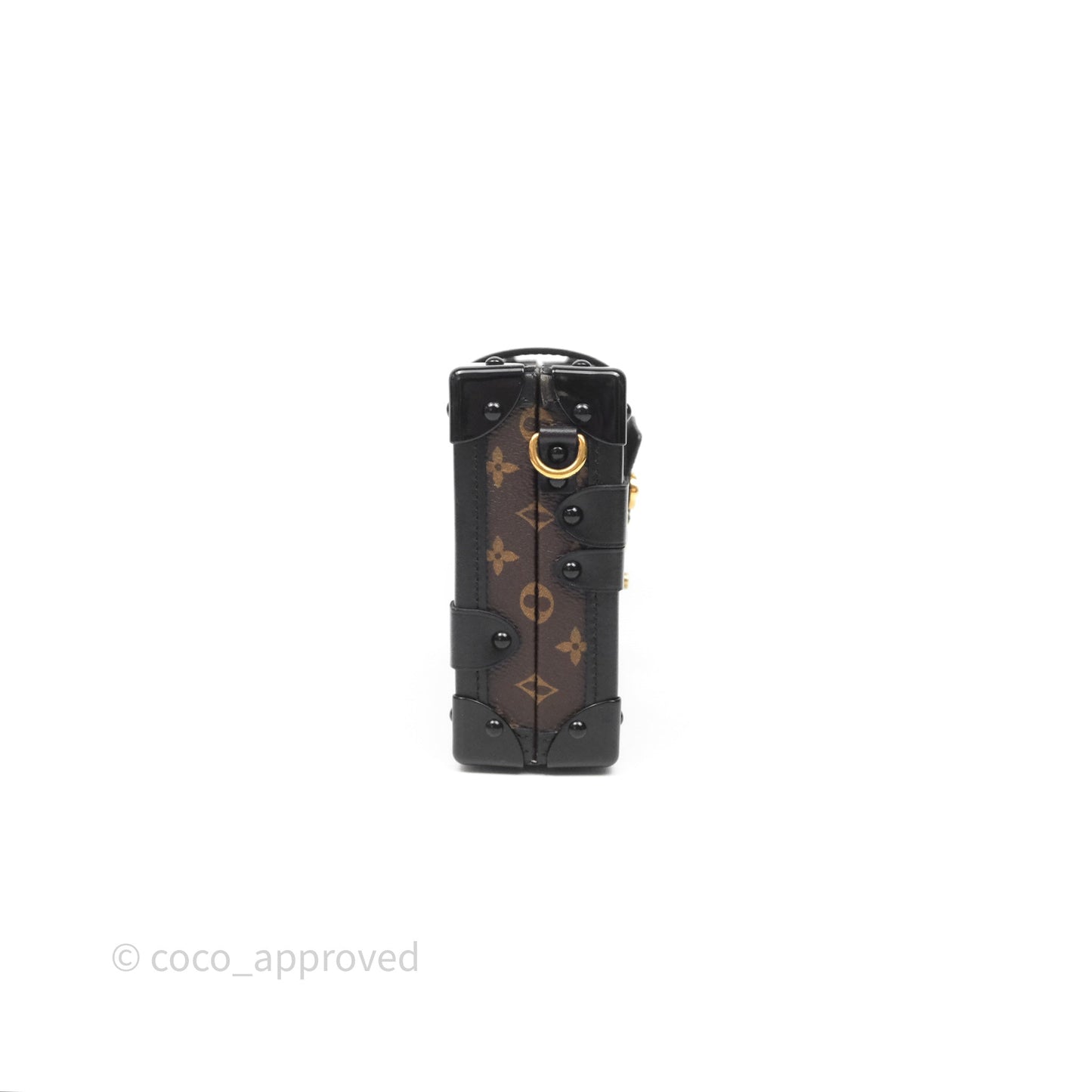 Louis Vuitton Monogram Petite Malle