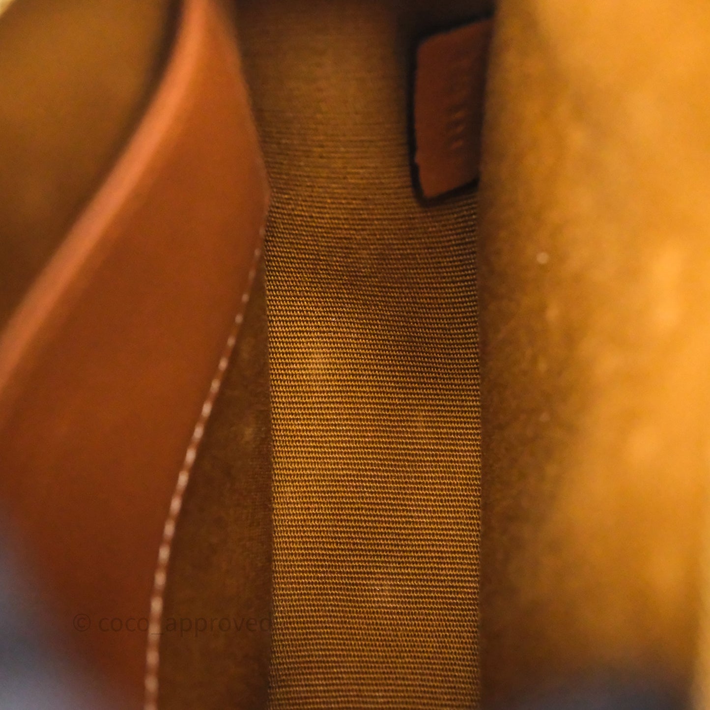 Celine Round Purse on Strap Triomphe Canvas Tan