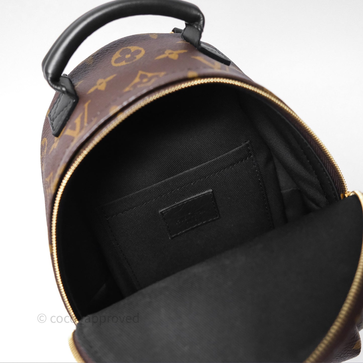 Louis Vuitton Mini Palm Springs Backpack⁣ Monogram