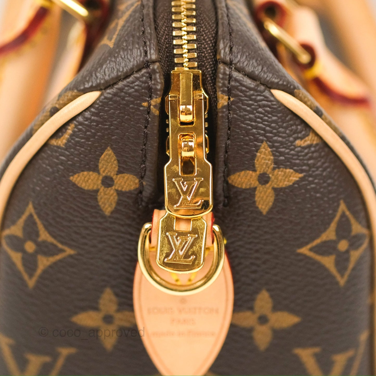 Louis Vuitton Speedy Bandoulière 20 Monogram