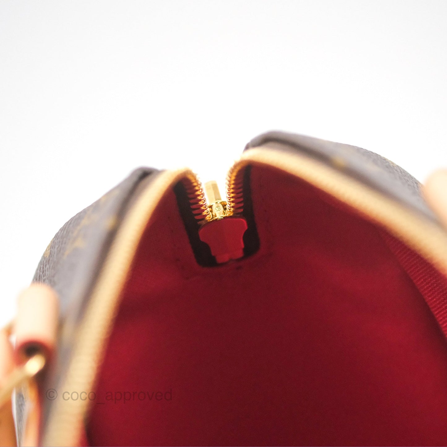 Louis Vuitton Speedy Bandoulière 20 Monogram