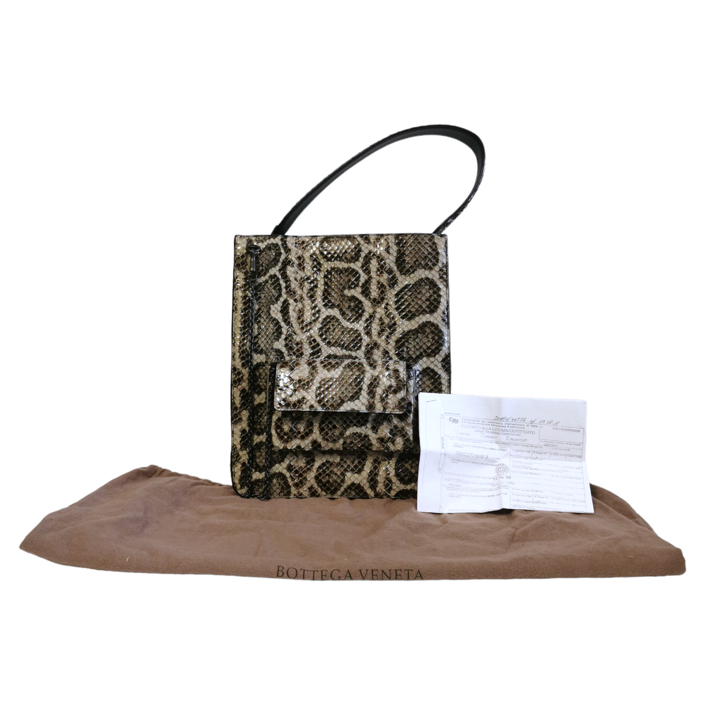 Luxury Bottega Veneta Python Tote Bag
