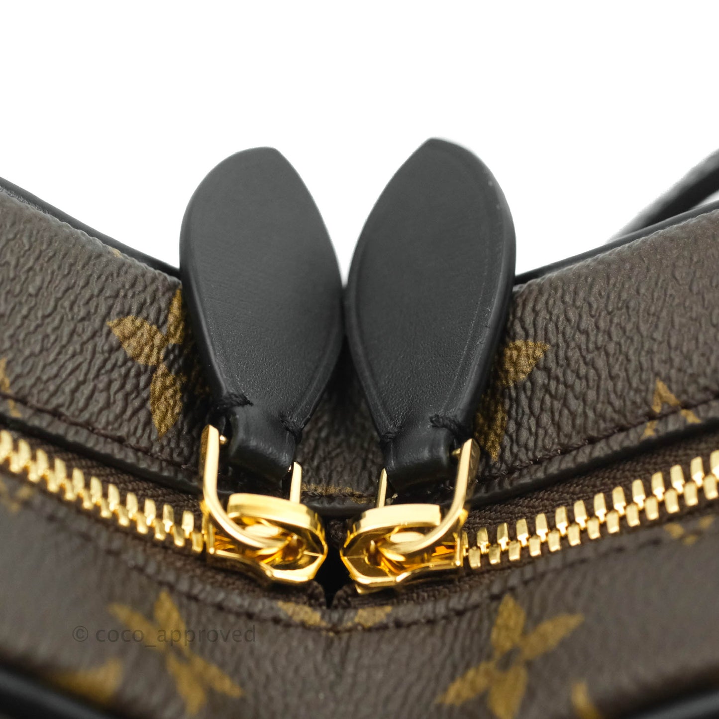Louis Vuitton Fall In Love Sac Cœur Crossbody Black Monogram Canvas Limited Edition
