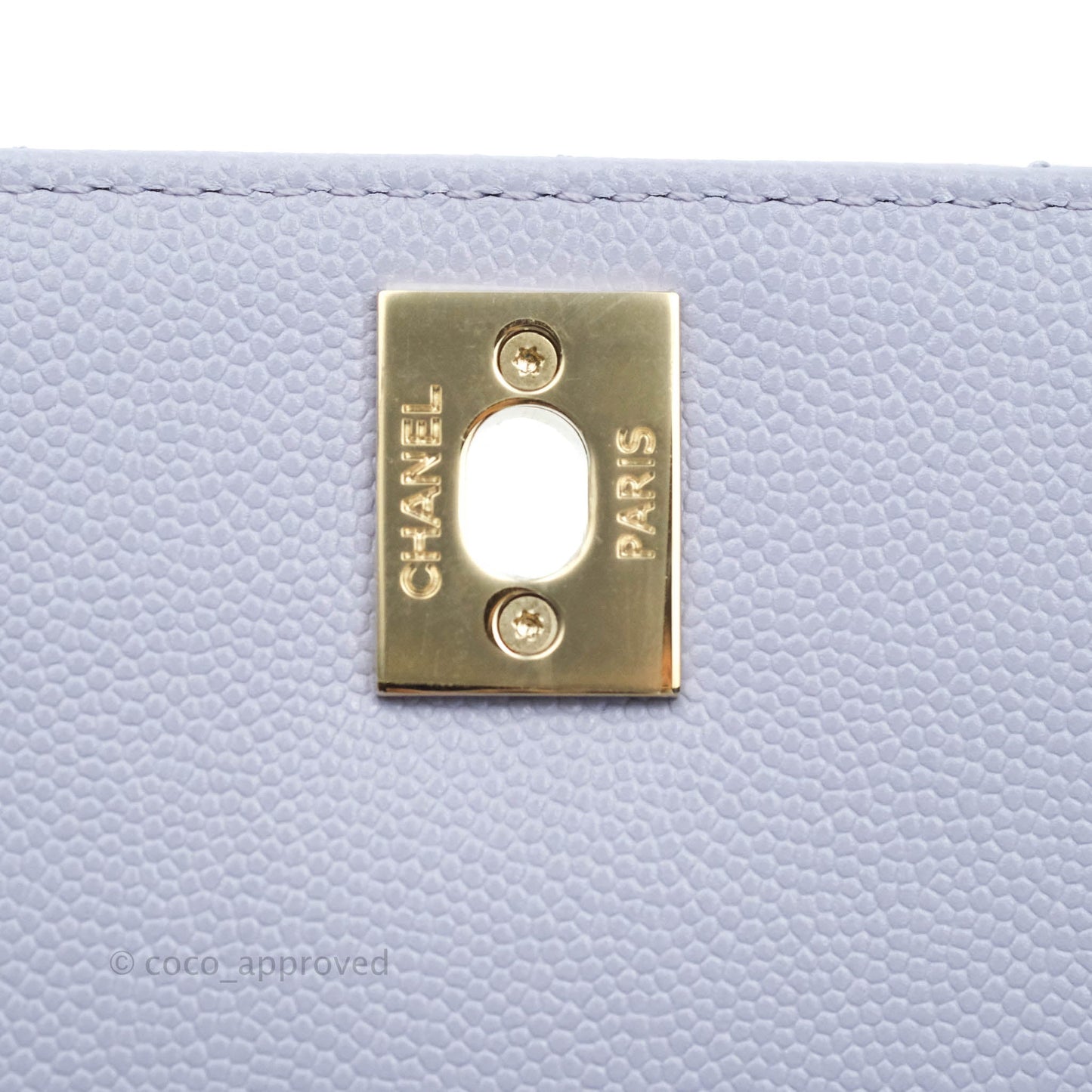 Chanel Small Coco Handle Chevron Purple Lilac Caviar Gold Hardware 21K