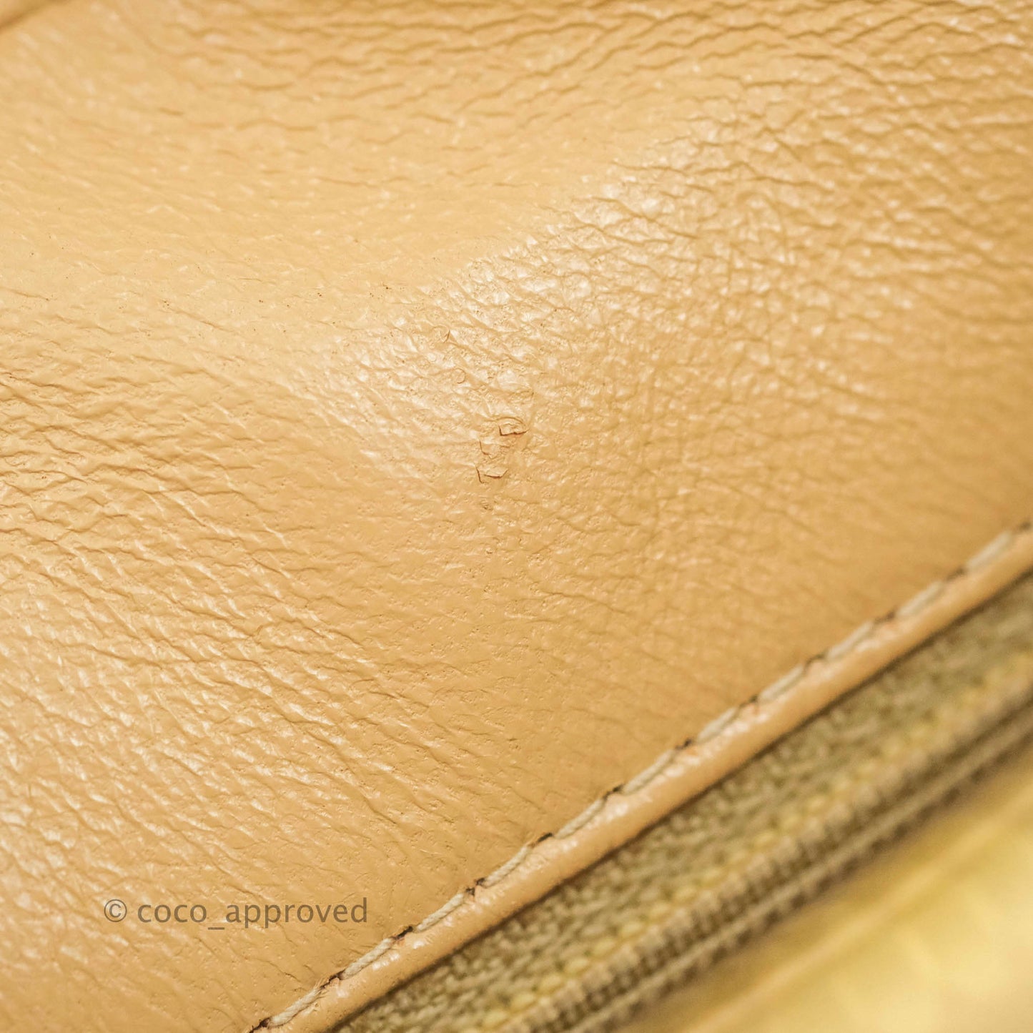 Chanel Vintage CC Large Square Camera Bag Beige Caviar 24K Gold Hardware