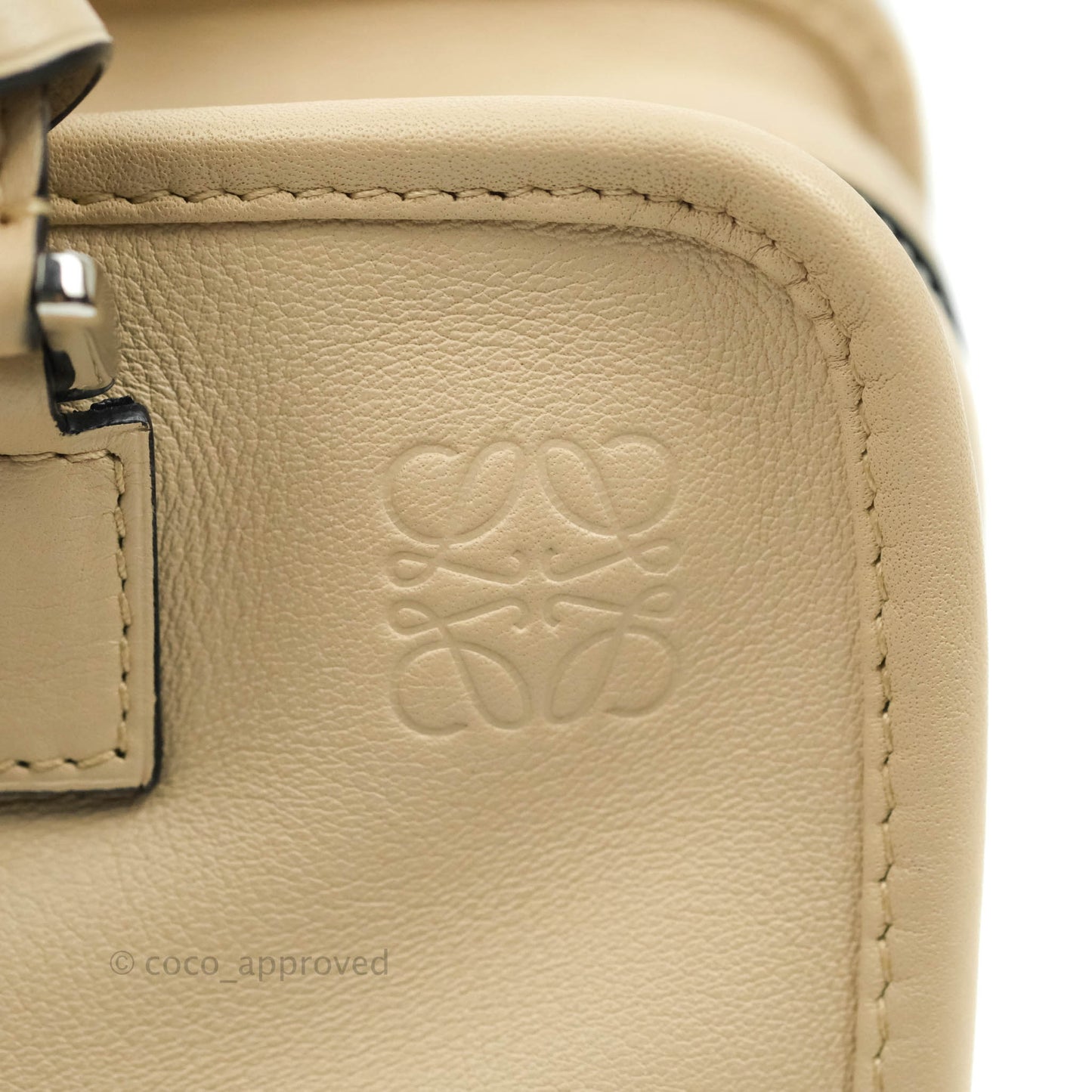 Loewe Mini Amazona 23 Ash Calfskin Silver Hardware
