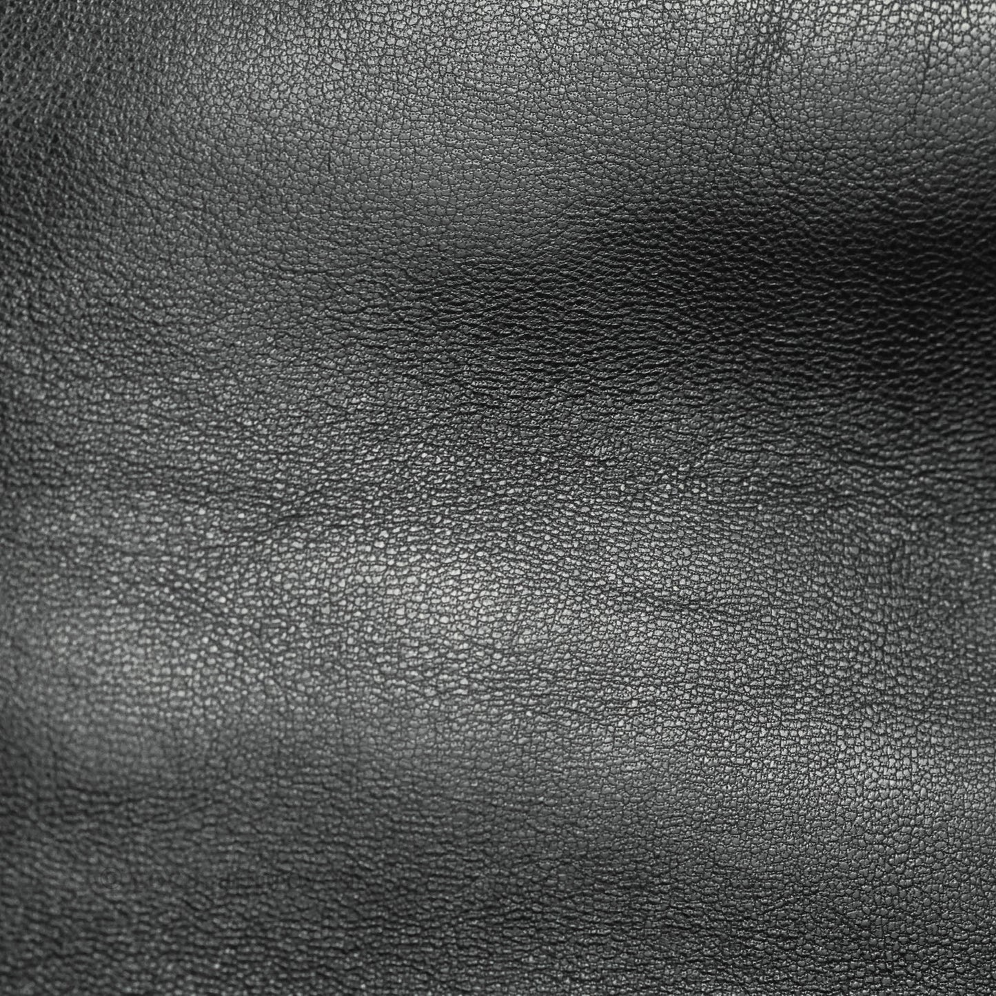 Chanel 19 Small Black Goatskin Mixed Hardware