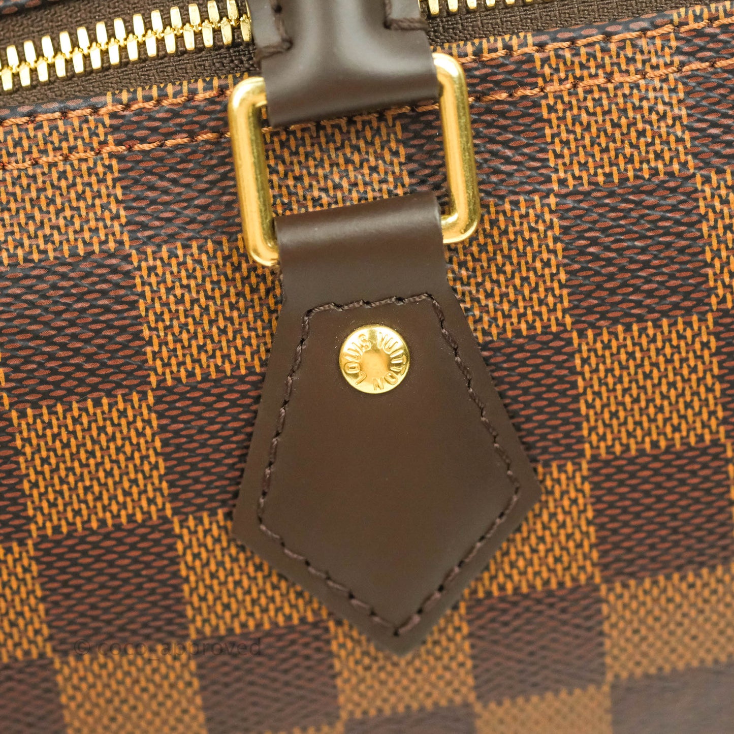 Louis Vuitton Speedy 25 Damier Canvas