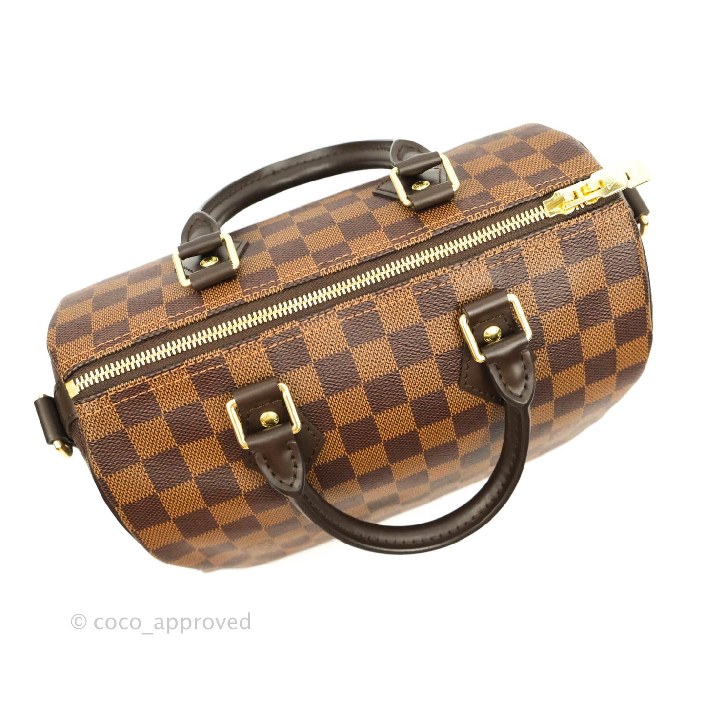 Louis Vuitton Speedy 25 Damier Canvas