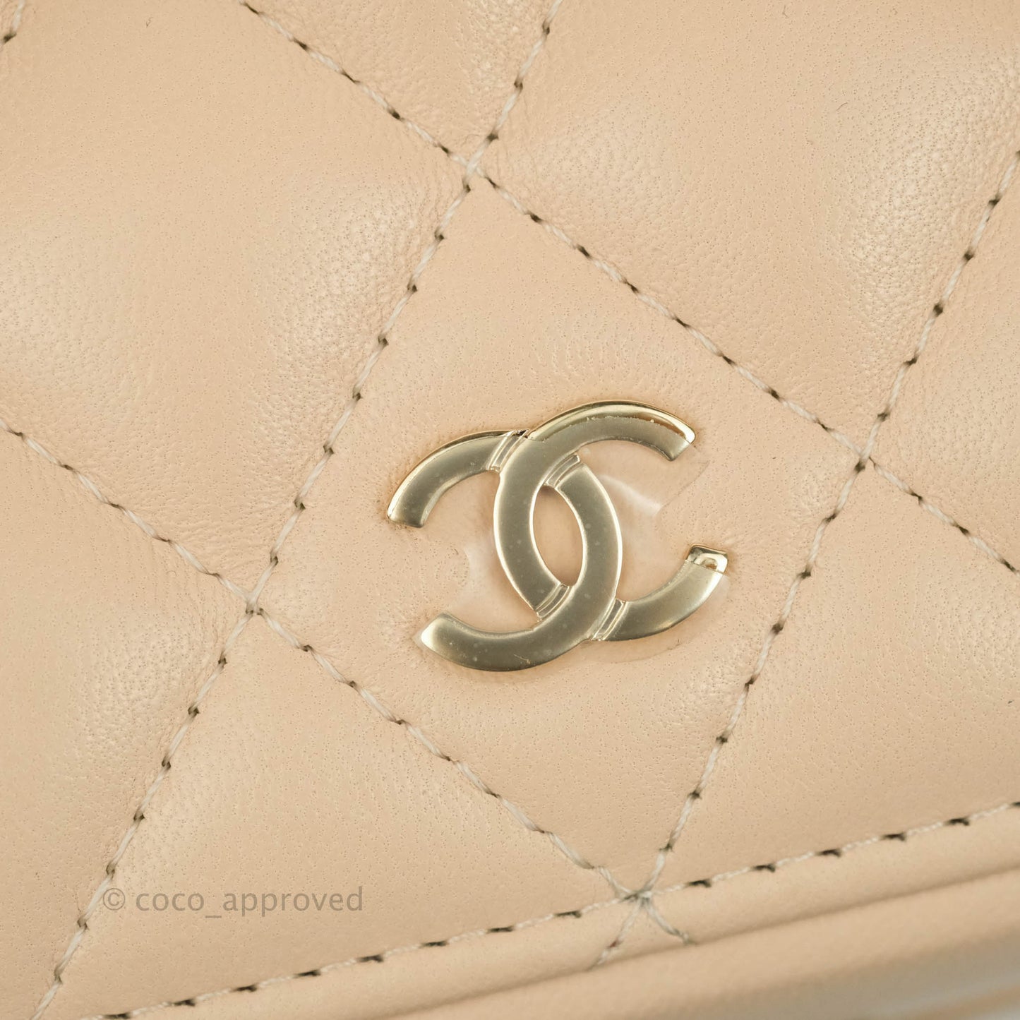 Chanel Classic Vanity Pouch with Handle Light Beige Lambskin Gold Hardware