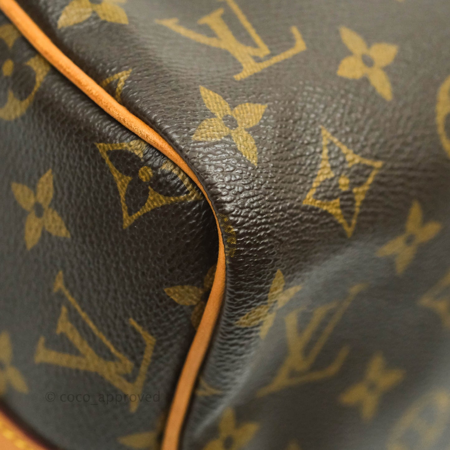 Louis Vuitton Monogram Canvas Speedy 30