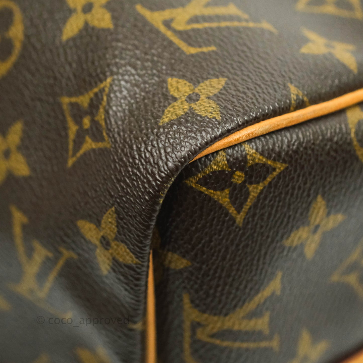 Louis Vuitton Monogram Canvas Speedy 30