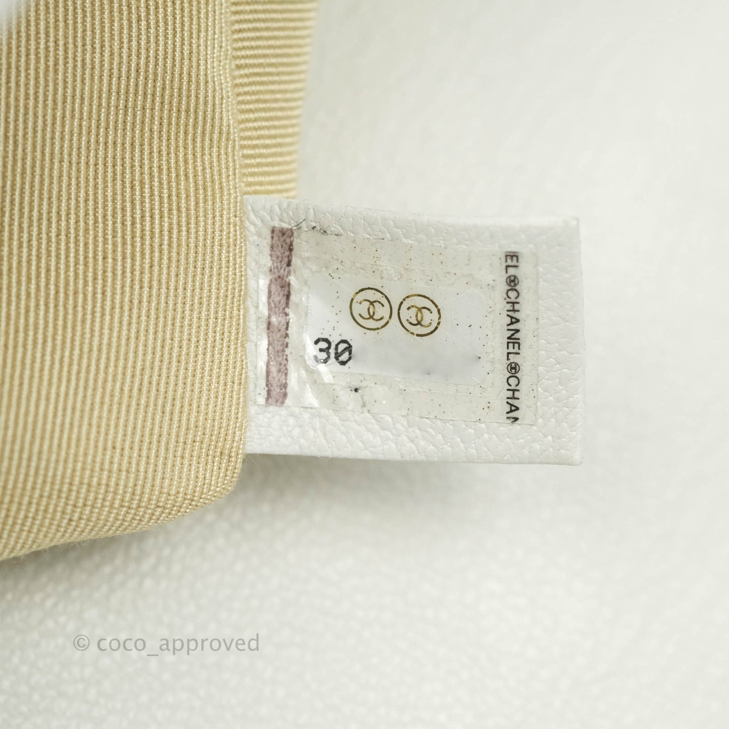 Chanel 19 Small White Goatskin Mixed Hardware 20A