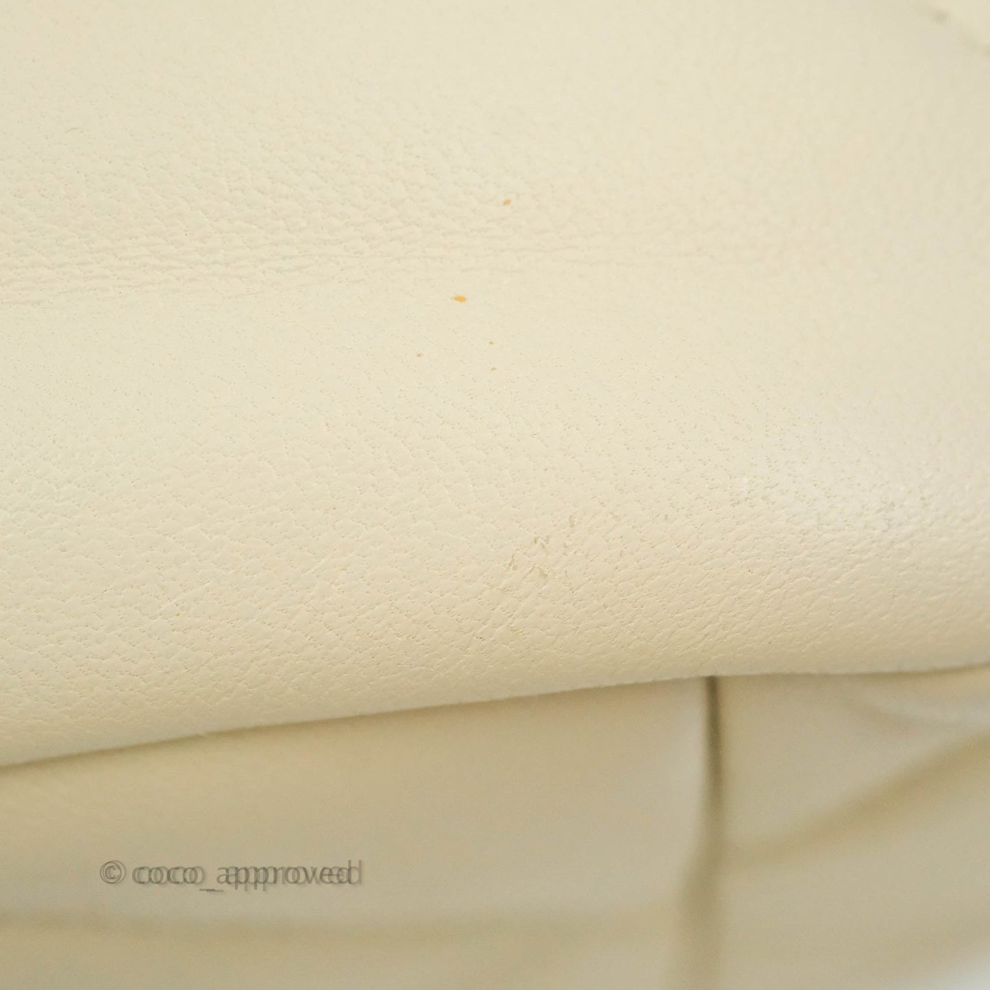 Chanel 19 Medium Beige Cream Goatskin Mixed Hardware