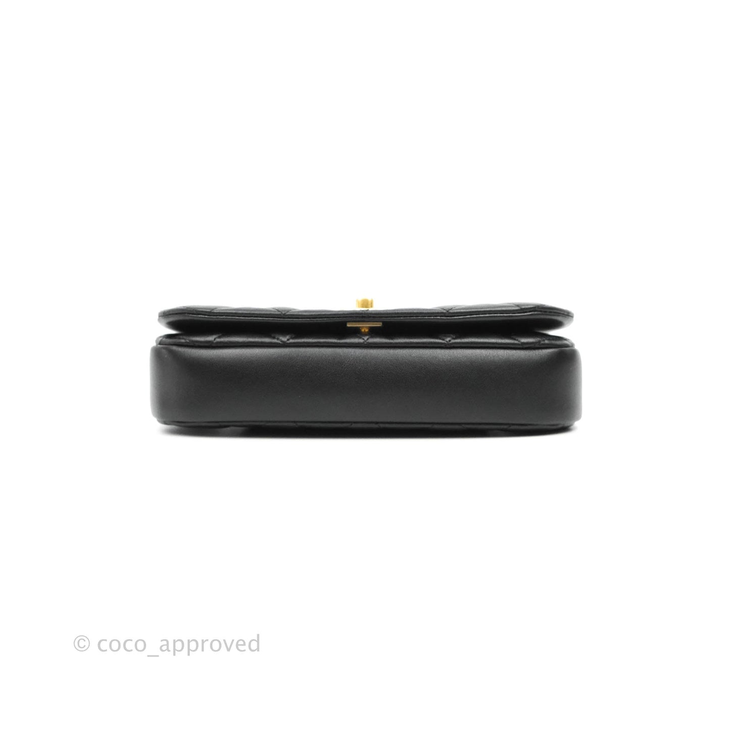 Chanel Clutch with Chain Black Calfskin Aged Gold Hardware
