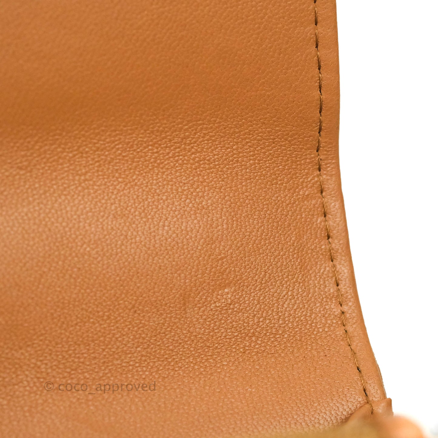 Chanel 19 Wallet on Chain WOC Dark Beige Caramel Lambskin Mixed Hardware 21K