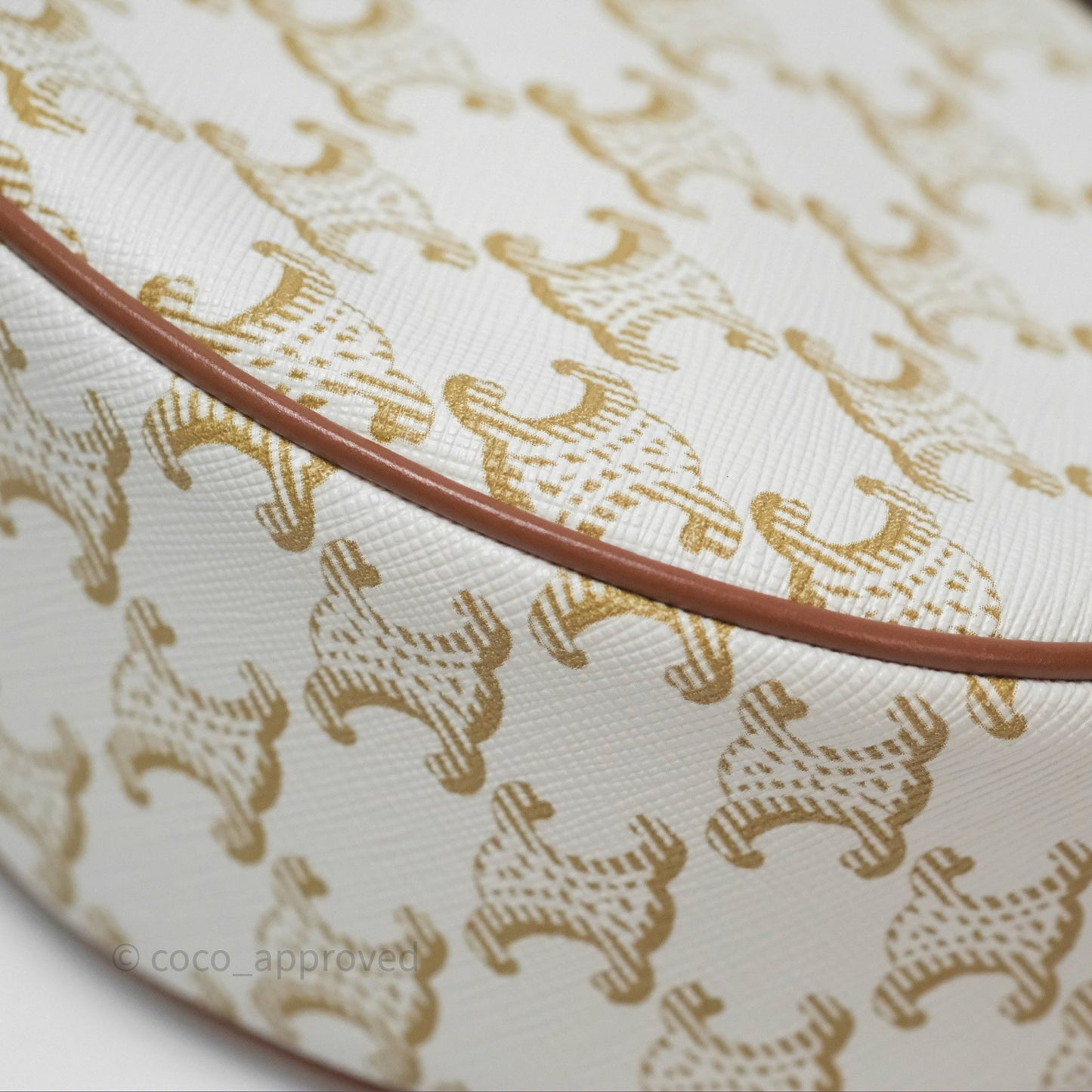 Celine Ava Bag In Triomphe Canvas Calfskin White