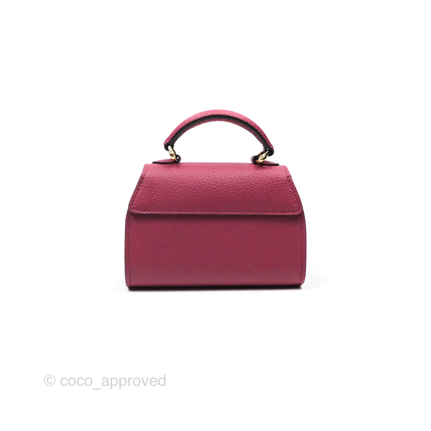 Moynat Réjane Nano Litchi Taurillon Blush Leather