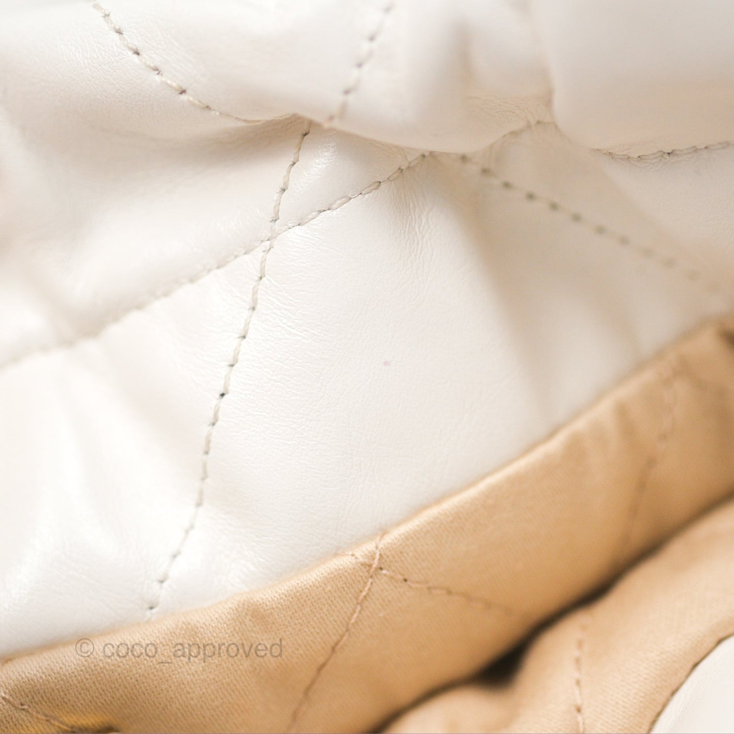 Chanel 22 Mini Bag White Shiny Crumpled Calfskin