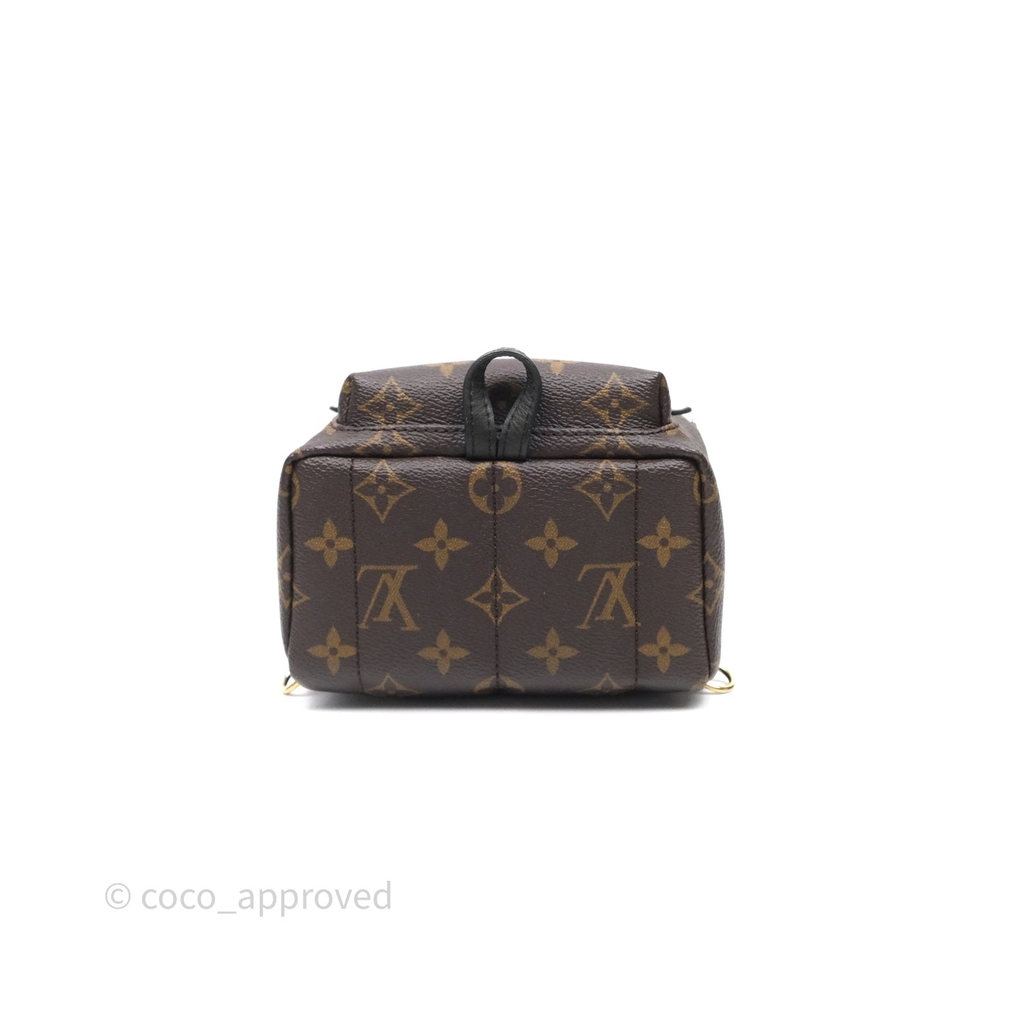 Louis Vuitton Mini Palm Springs Backpack⁣ Monogram