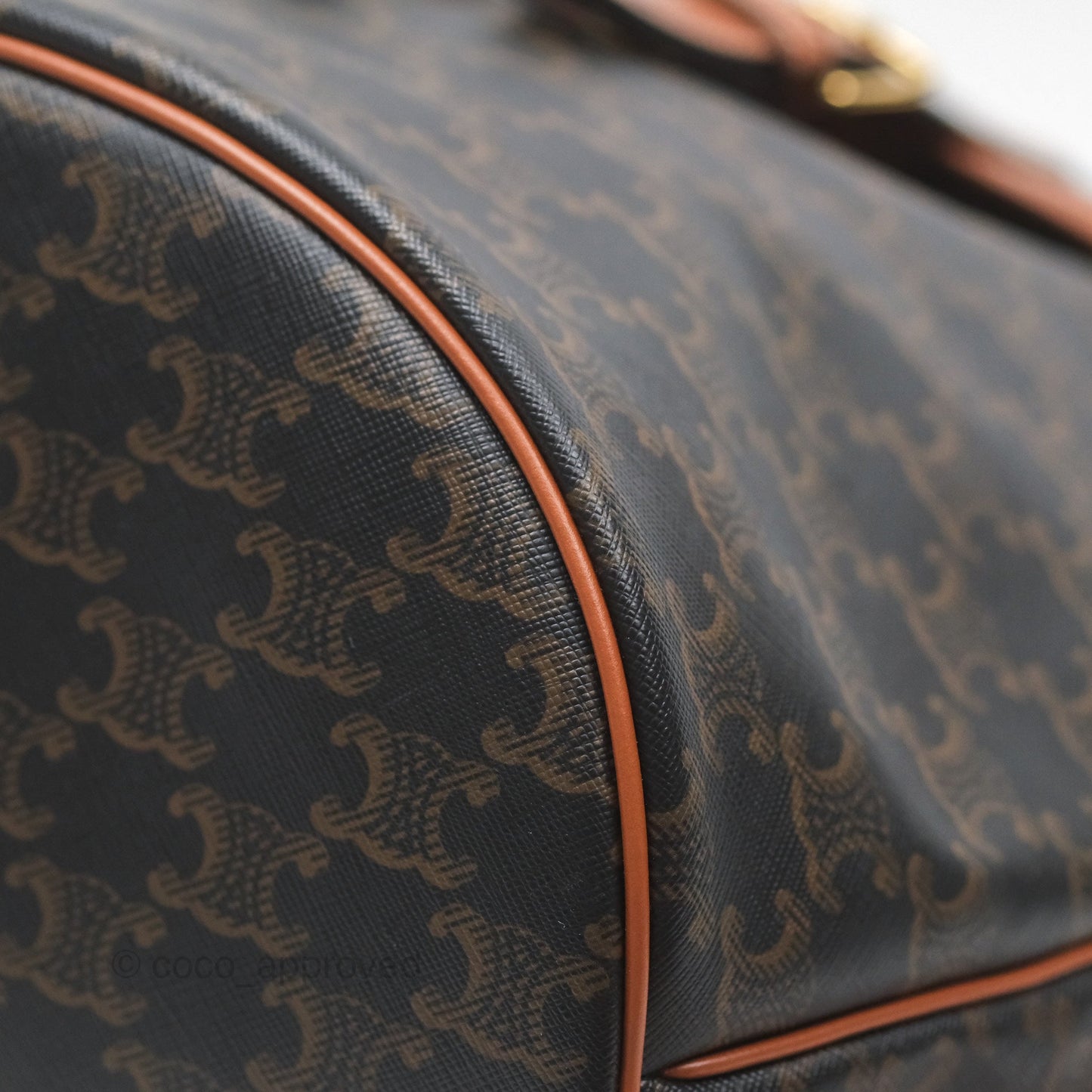 Celine Medium Folco Backpack in Triomphe Canvas Calfskin
