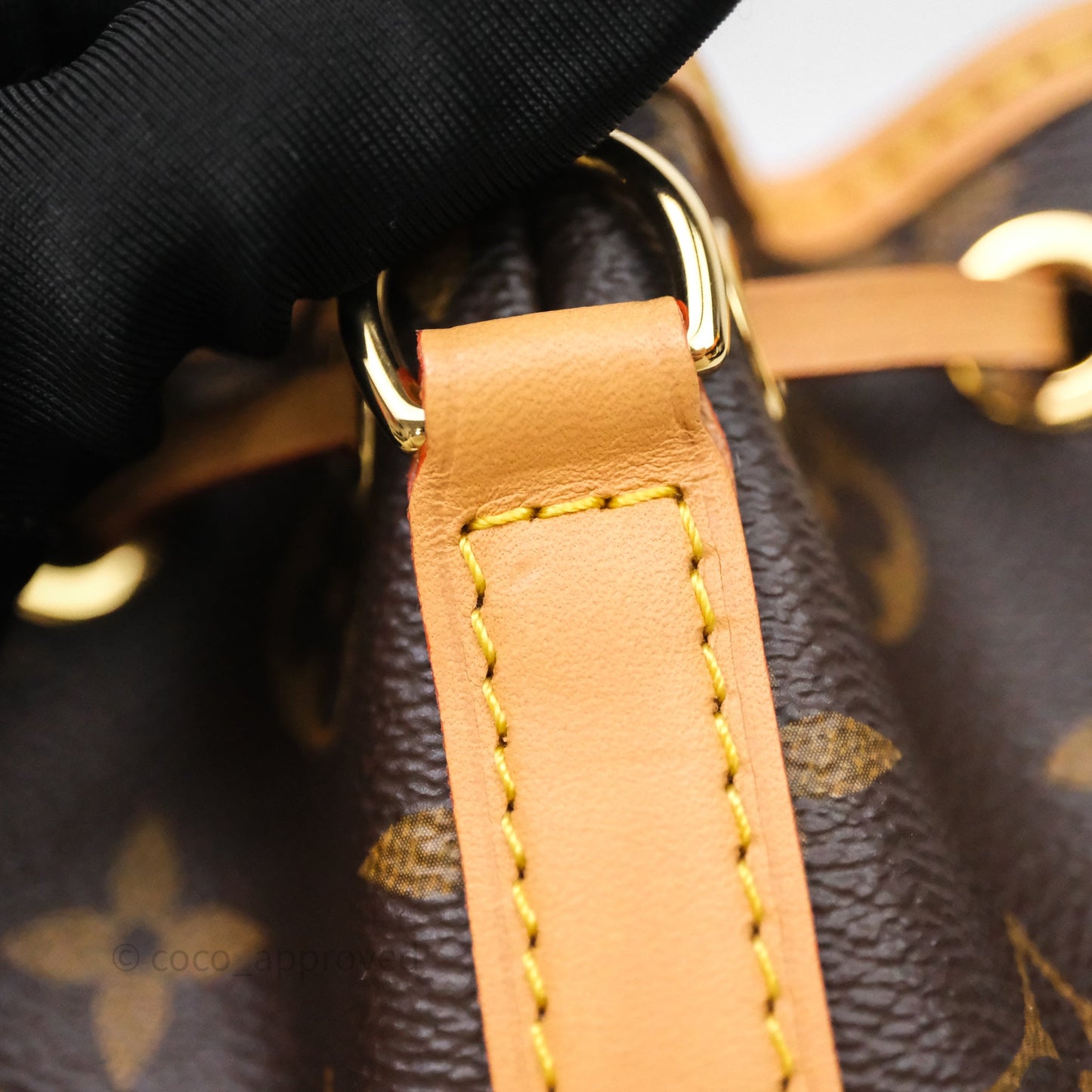 Louis Vuitton Nano Noe Monogram Canvas