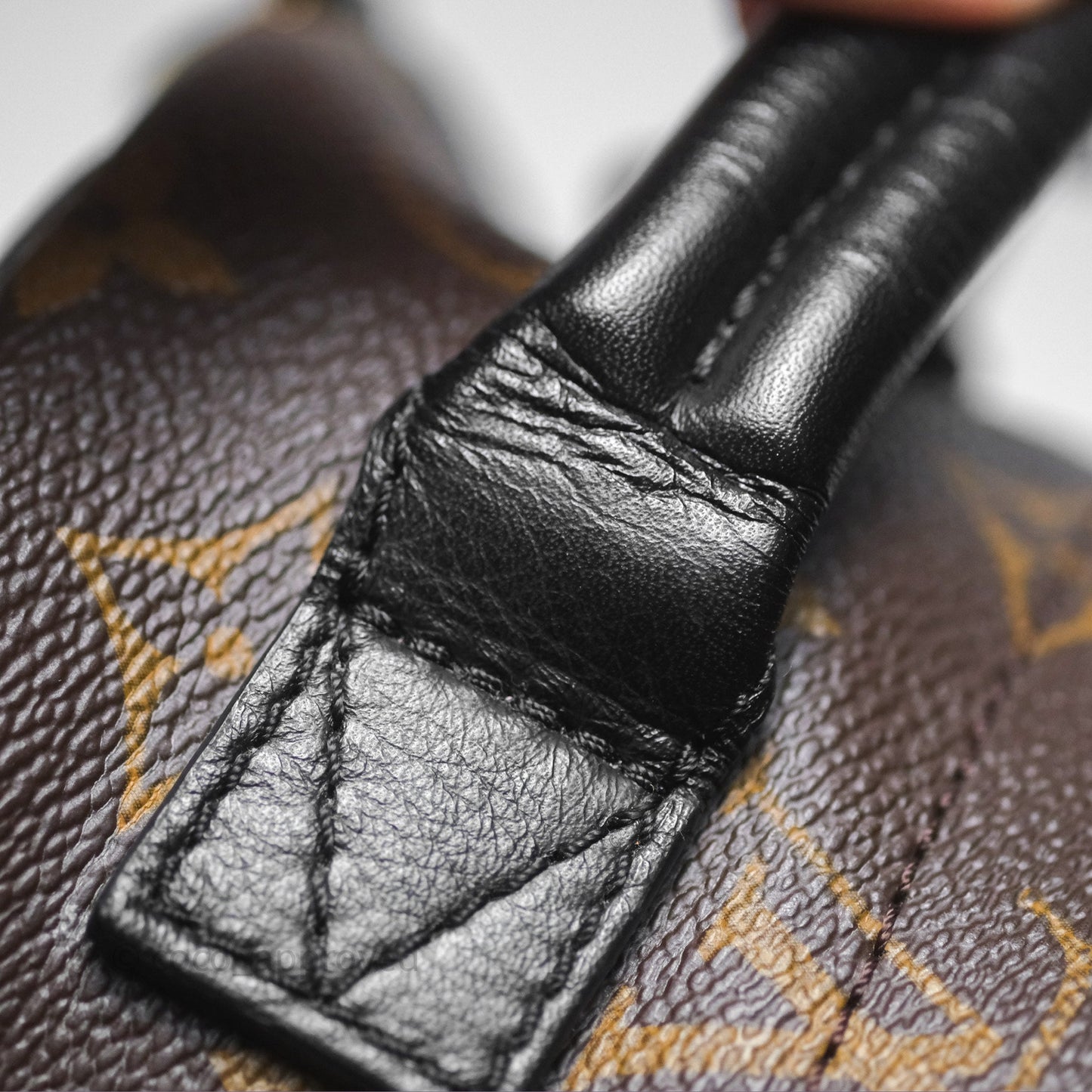 Louis Vuitton Monogram Mini Palm Springs Backpack⁣