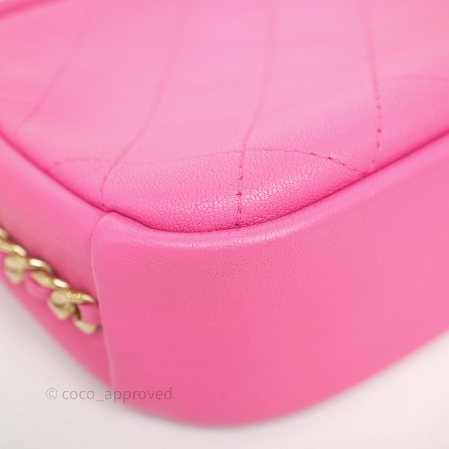 Chanel Camera Bag Pink Calfskin Aged Gold Hardware