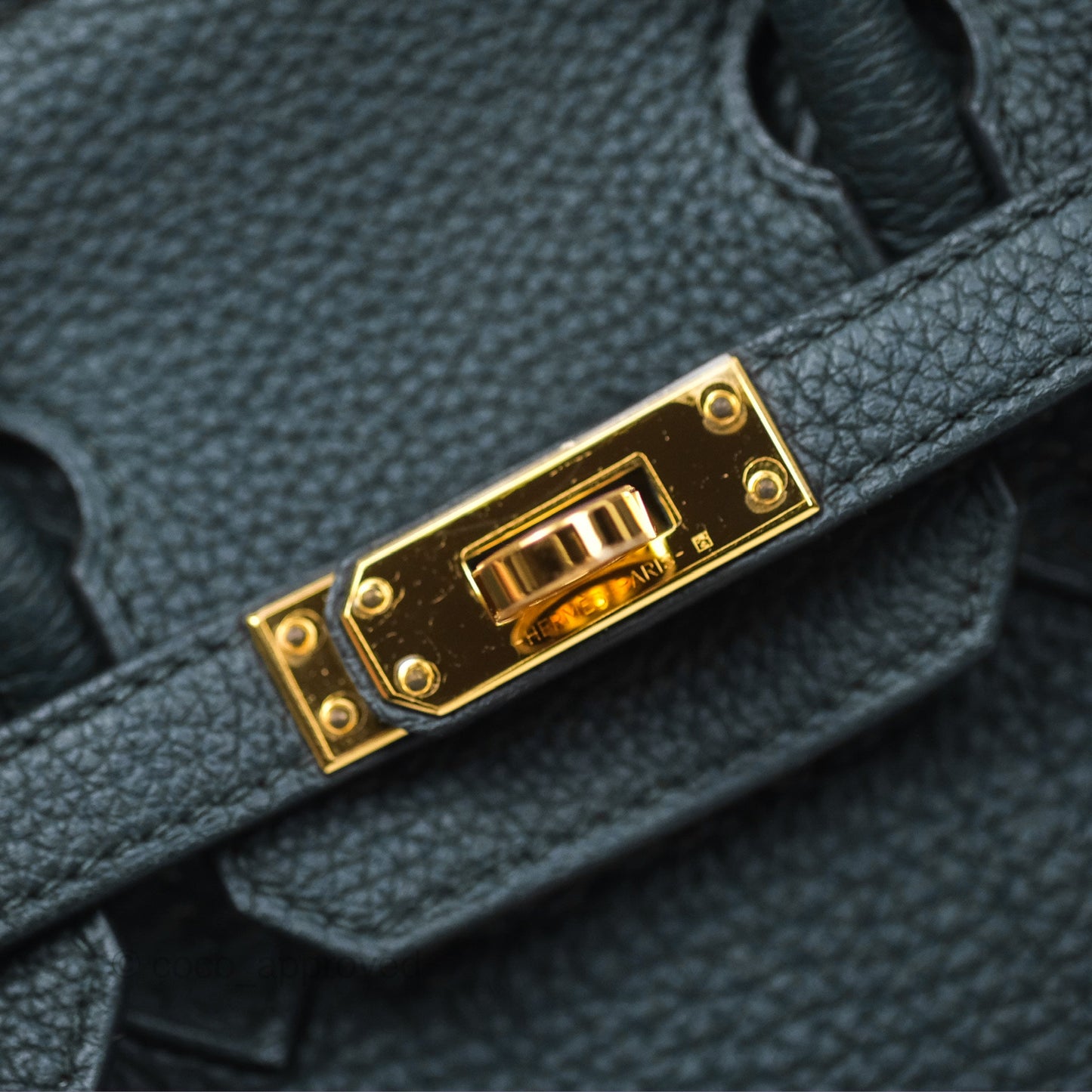Hermès Birkin 25 Retourne Vert Cypres 6O Togo Gold Hardware