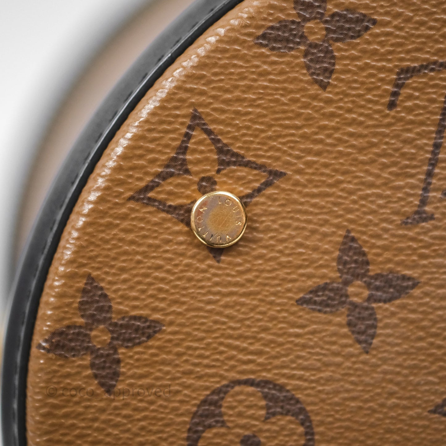 Louis Vuitton Monogram Canvas Reverse Cannes Bag