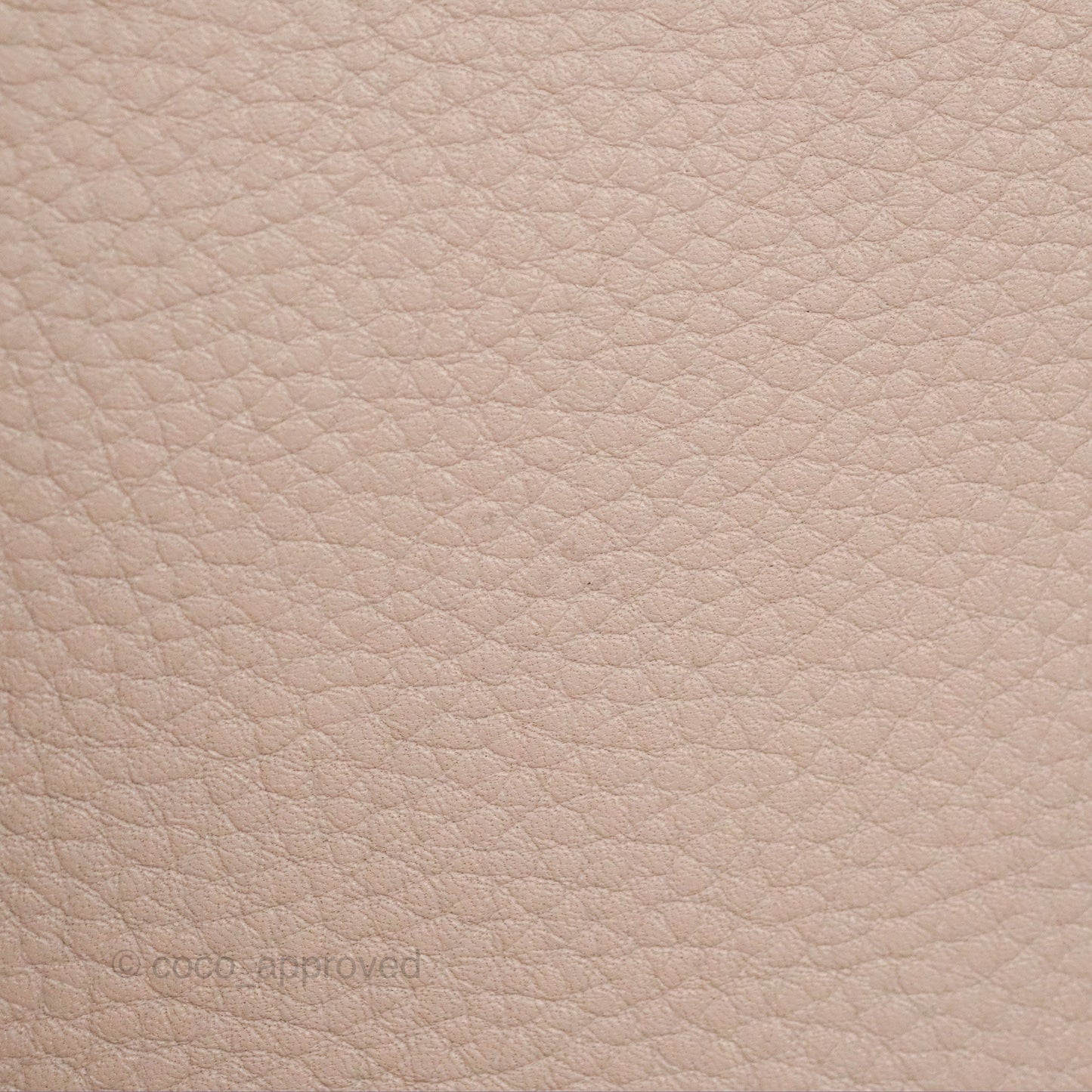 Moynat Réjane PM bag Tourterelle Grained Blush Leather Silver Hardware