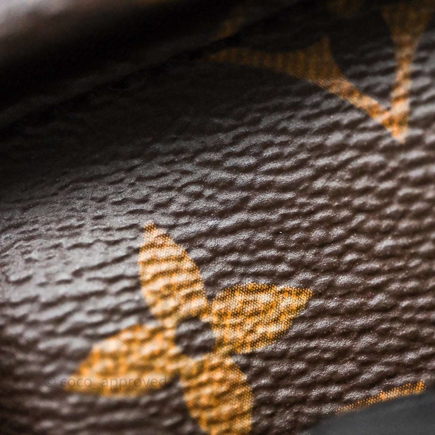 Louis Vuitton Palm Springs Backpack⁣ Monogram PM