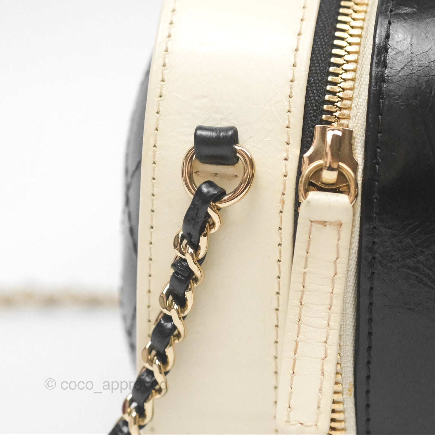 Chanel Camera Case Bag Black/White Calfskin Gold Hardware