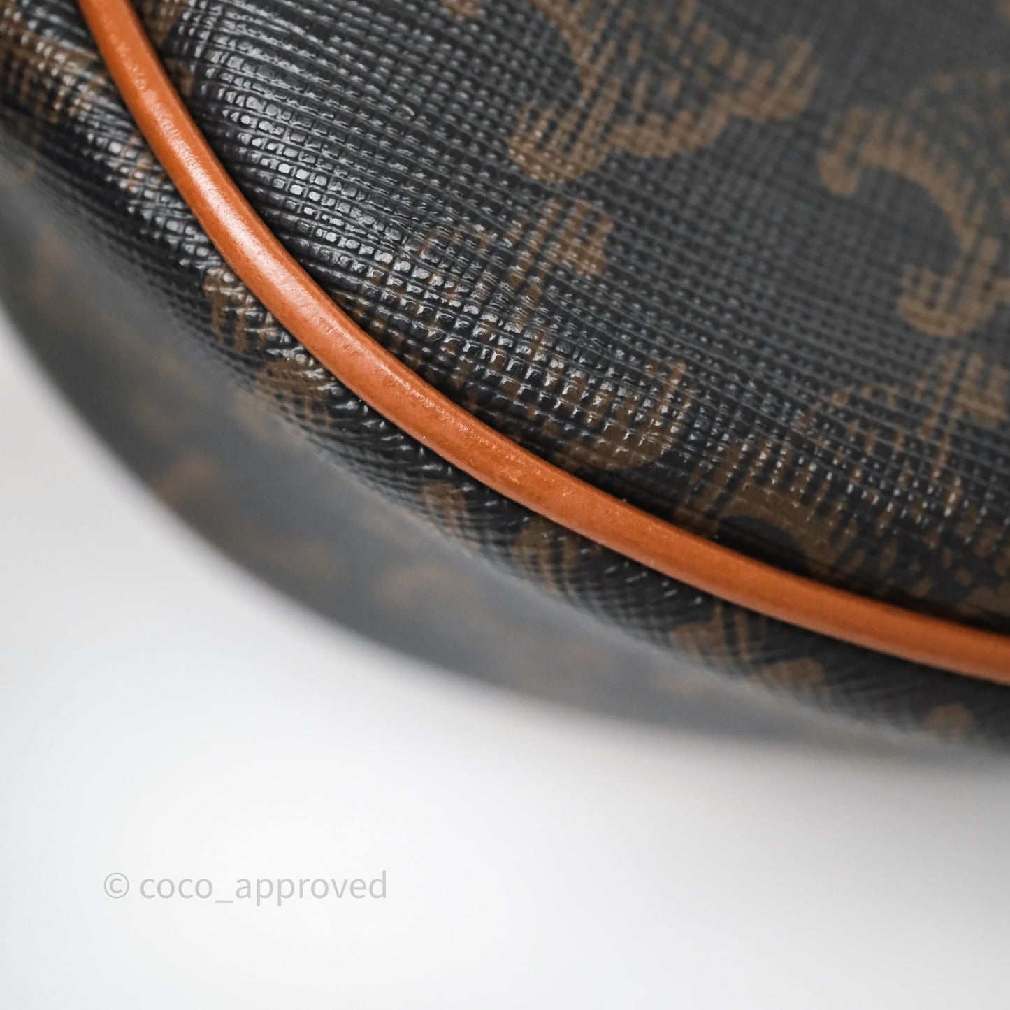 Celine Medium Ava Bag In Triomphe Canvas Calfskin Tan